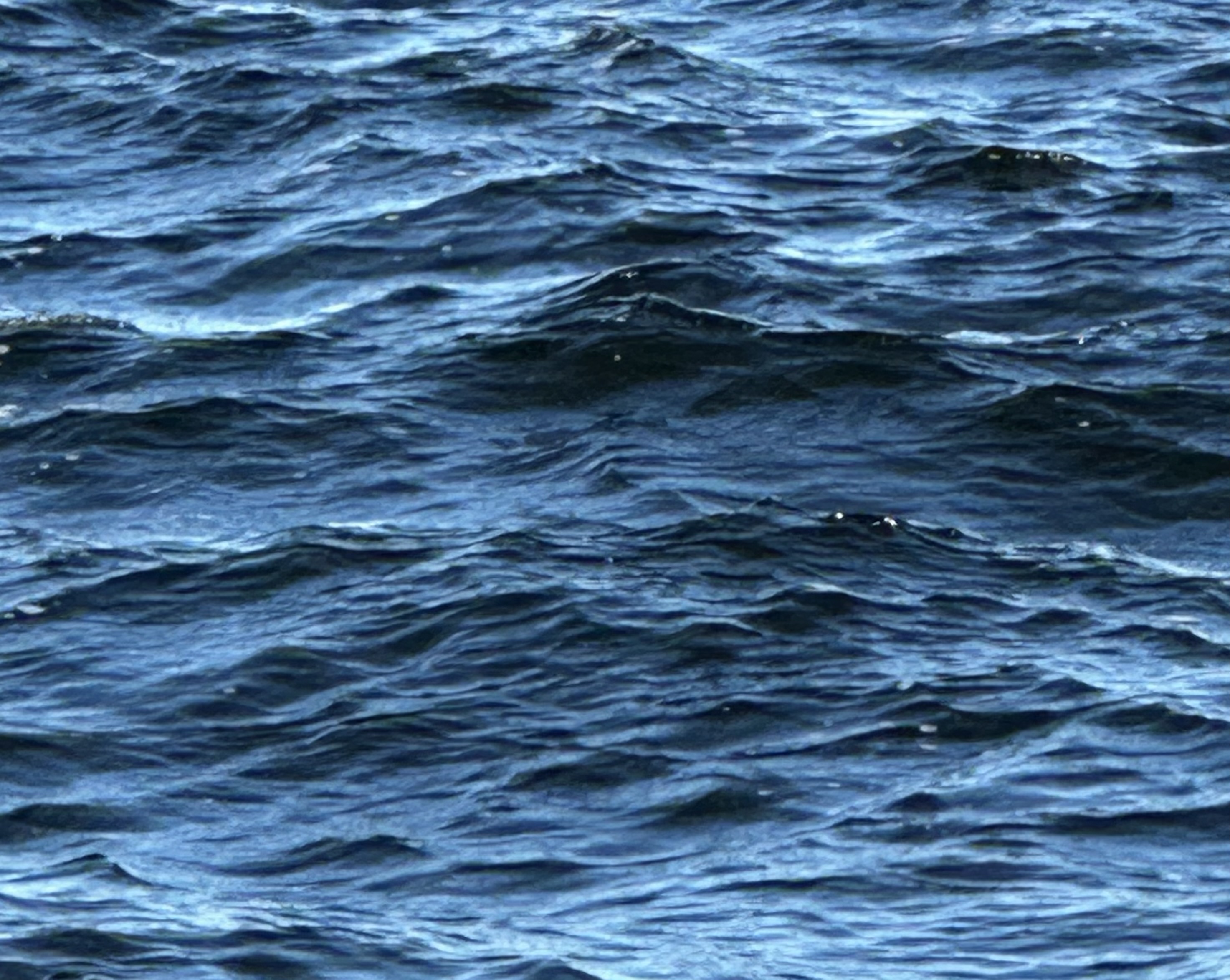 Vågande vatten