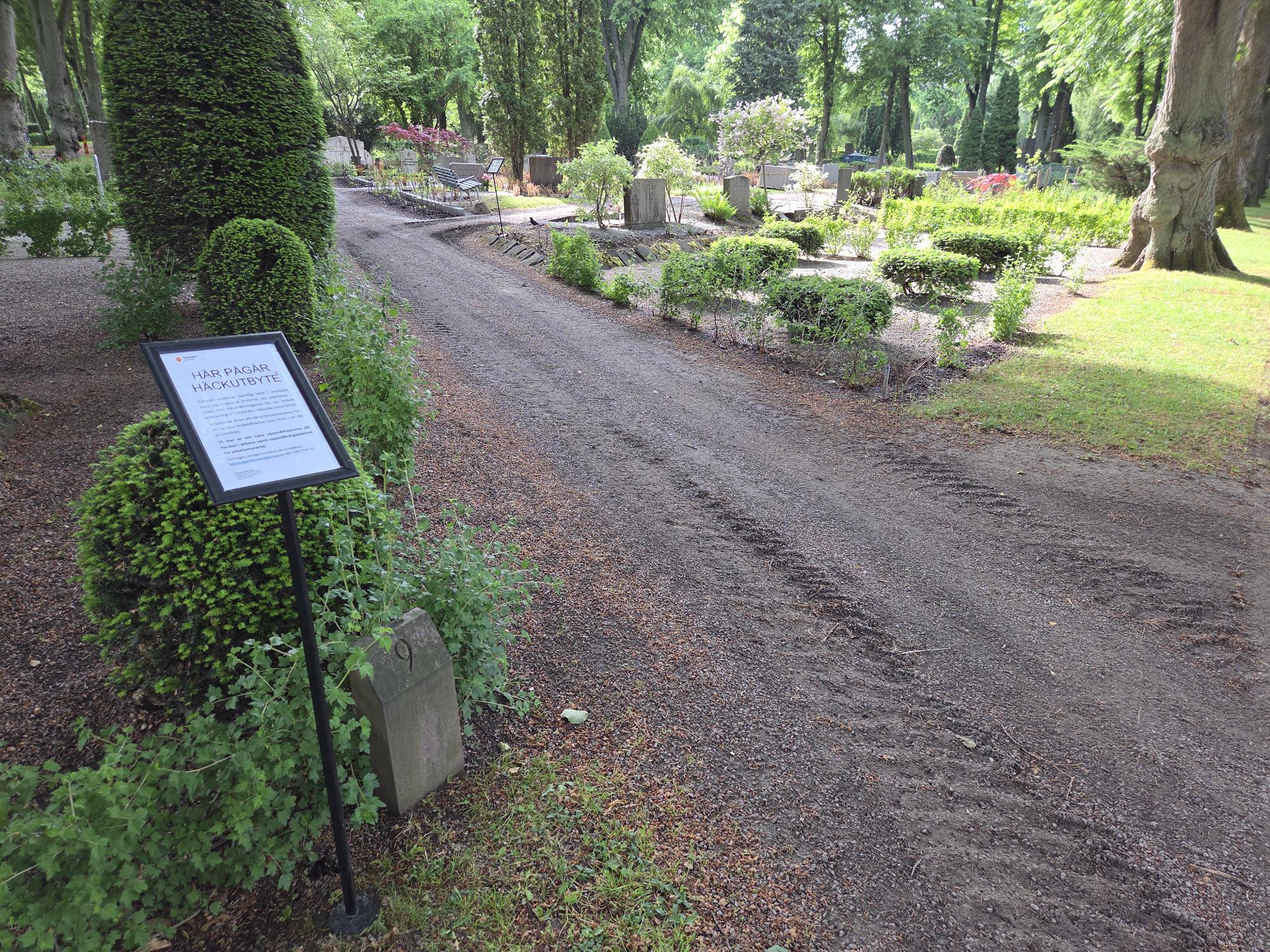 Häckutbyte på kvarter 9, Norra kyrkogården
