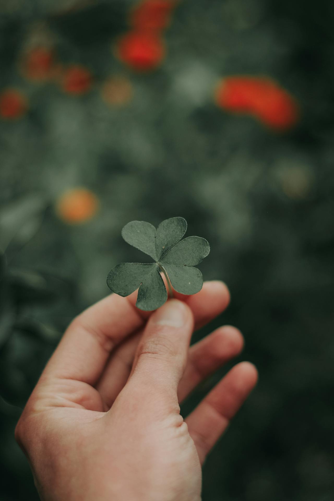 En hand håller i en treklöver.