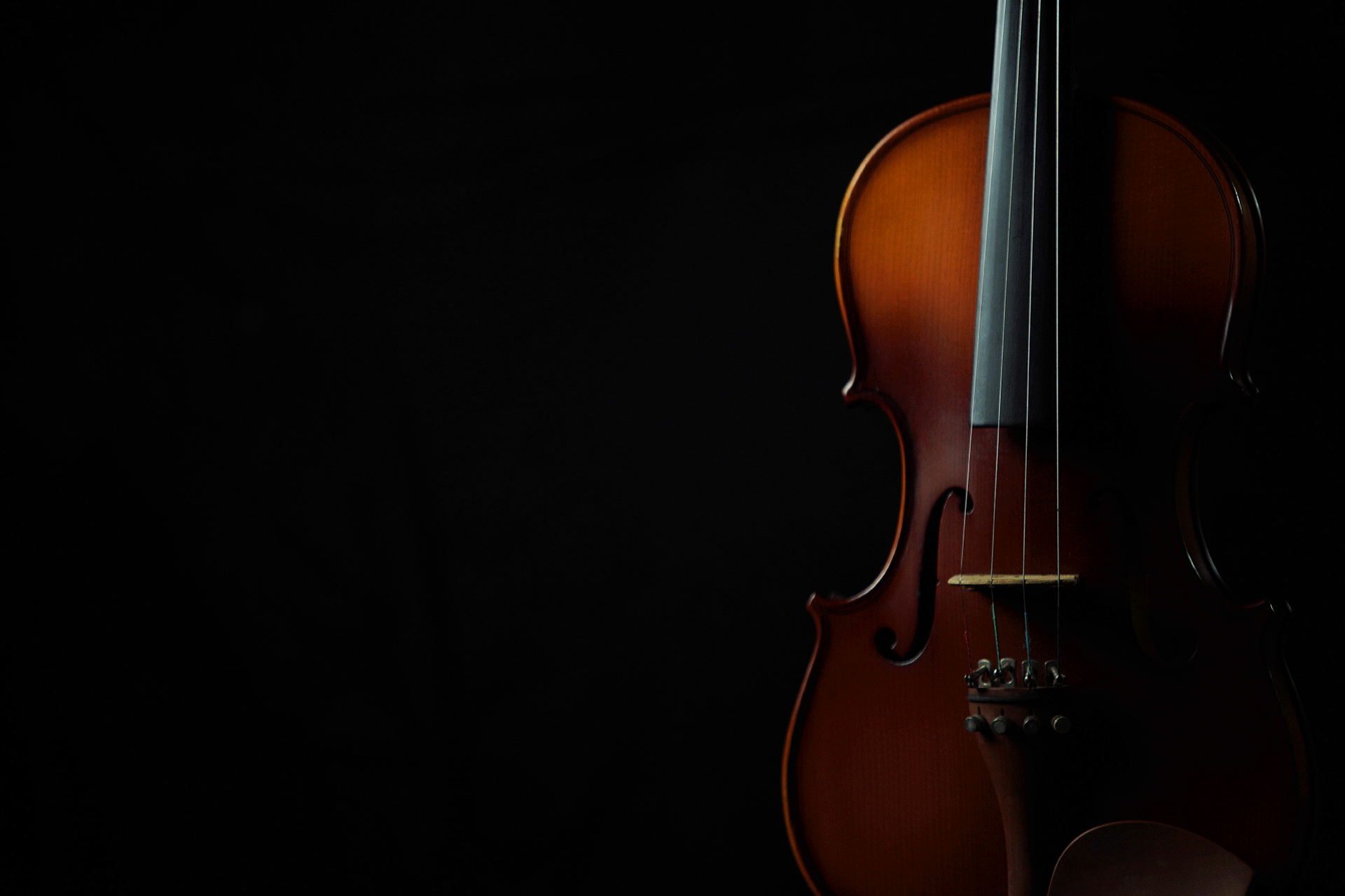 Basfiol på svart bakgrund