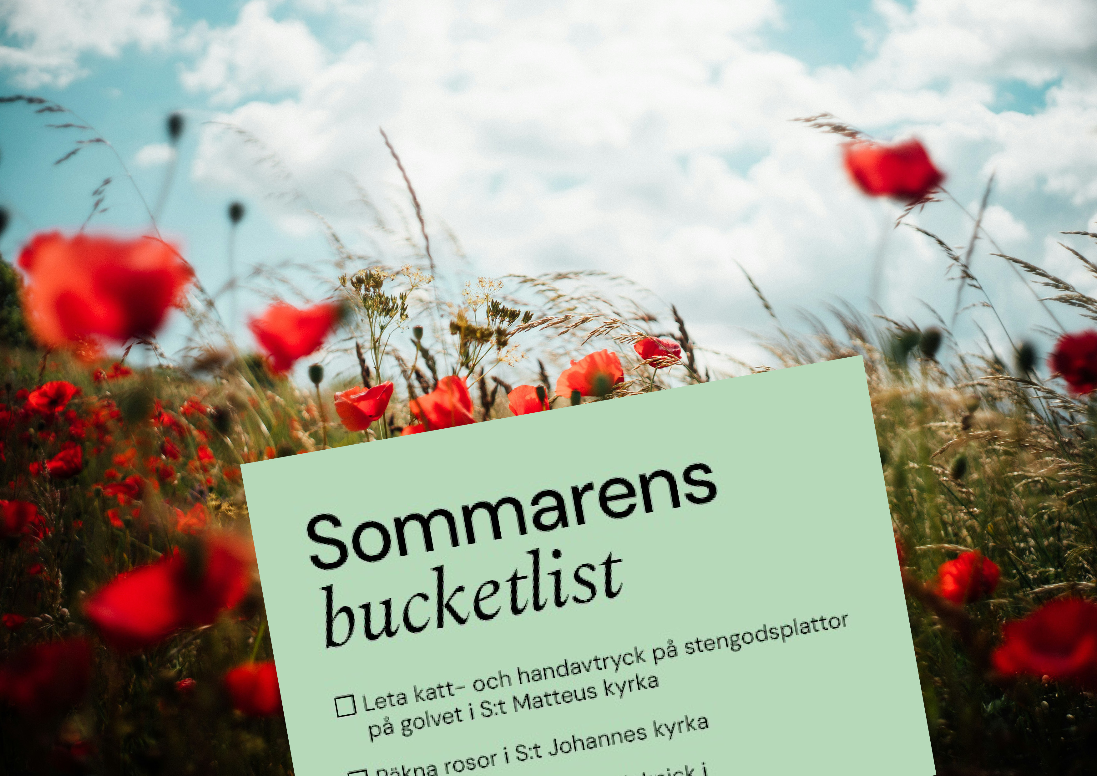 Vallmofält med grön ruta