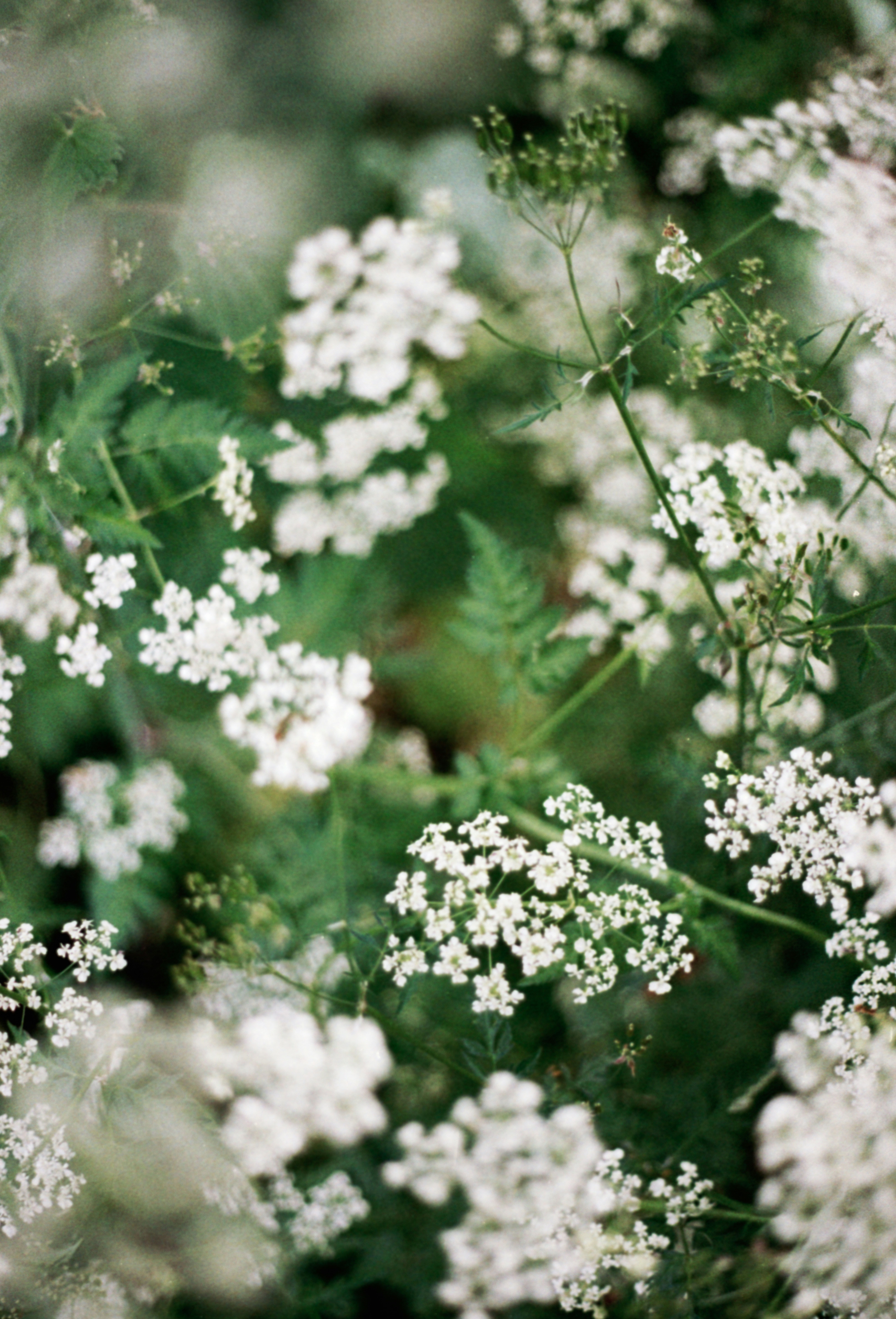 annie-spratt-N0IqGcLje6A-unsplash