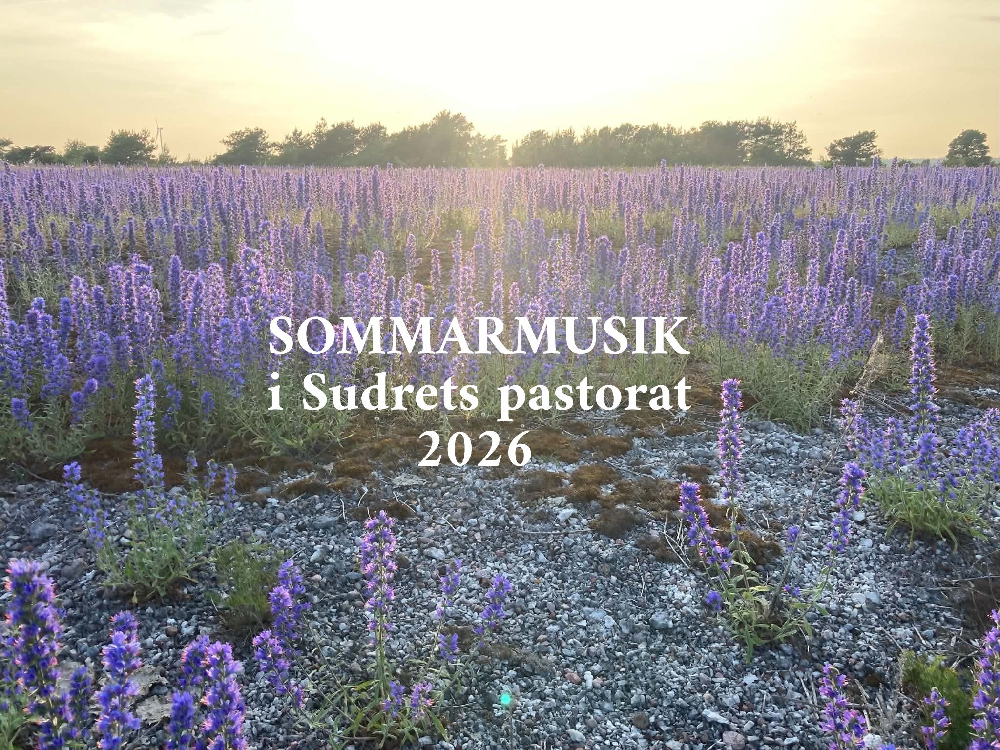 Sommarmusik2026