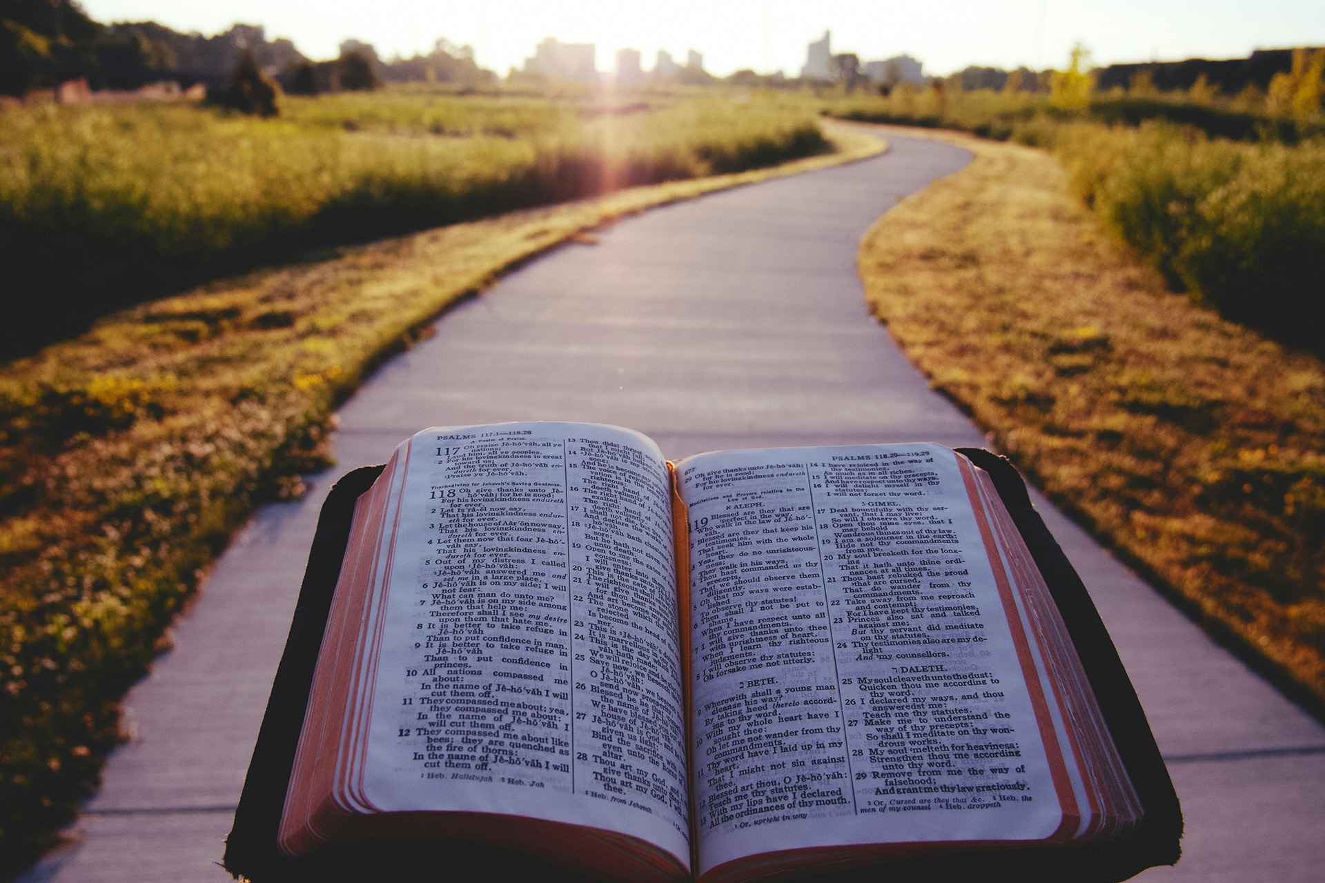 En uppslagen bibel och en väg genom ett landskap i mjukt solljus.