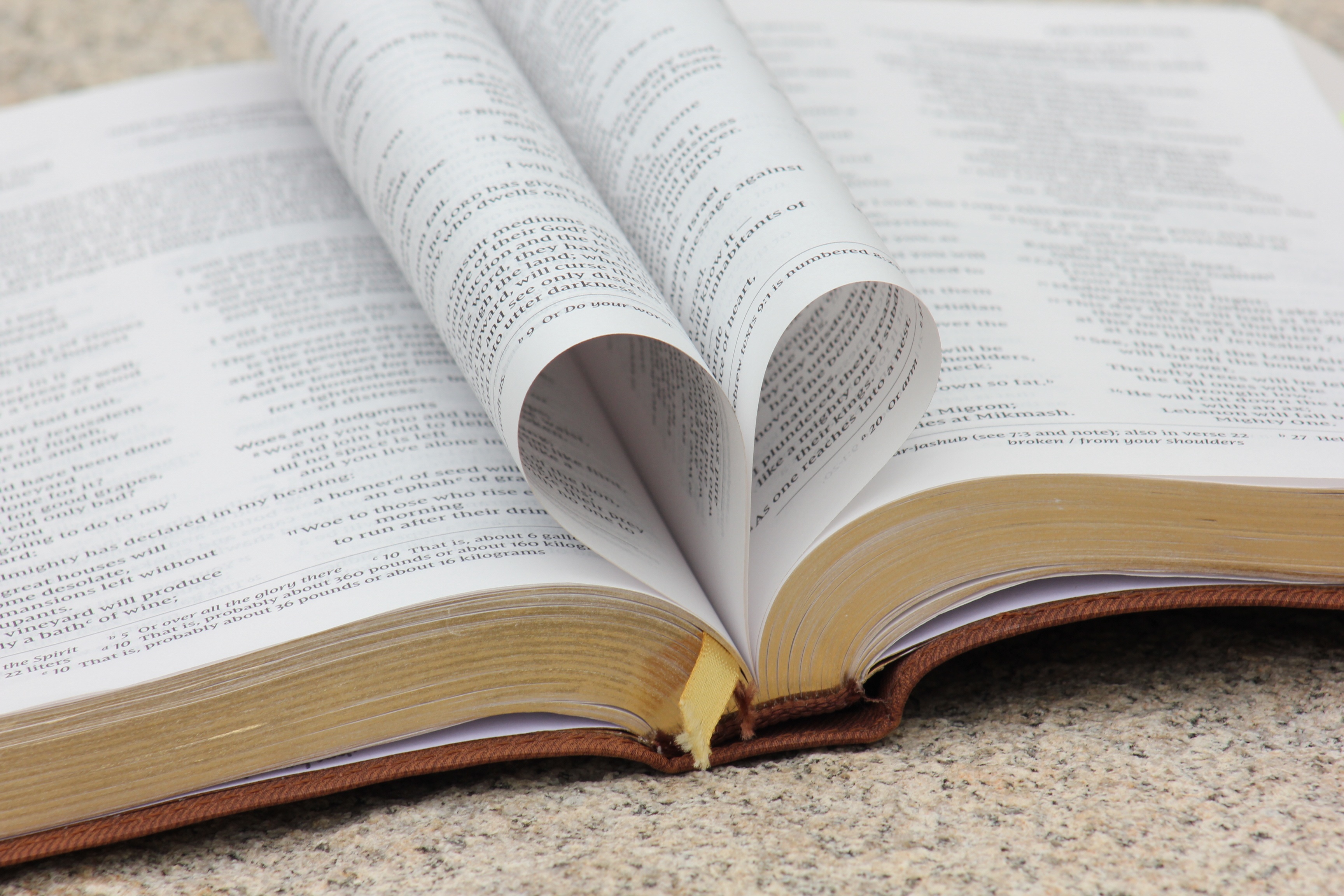 Bibel med ett par blad som bildar ett hjärta.