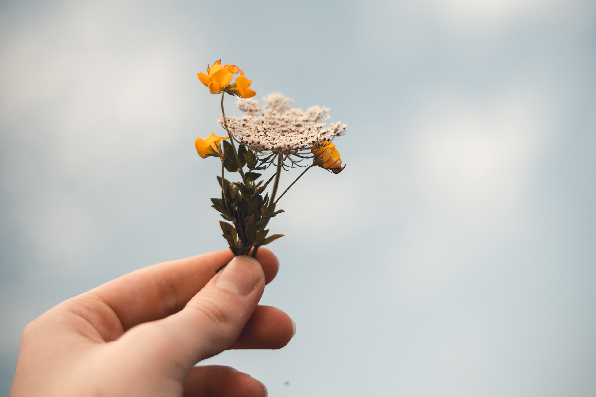 En hand håller en liten blombukett upp mot himlen.