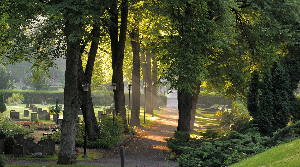 Allé på Nacka norra kyrkogård.