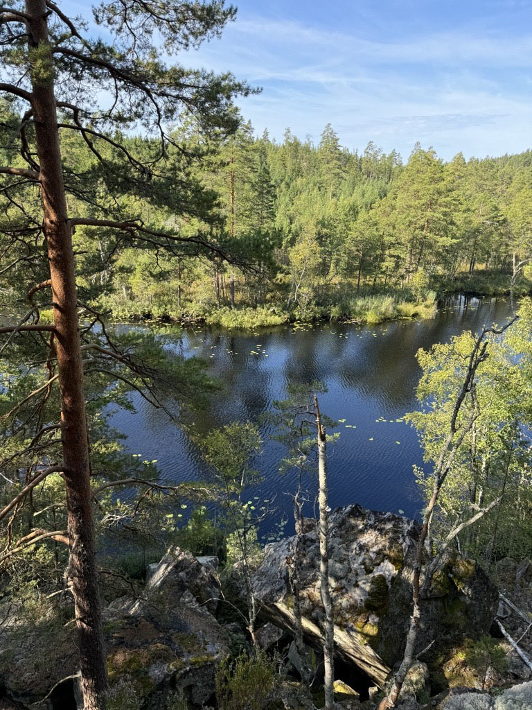Vy över skog och sjö