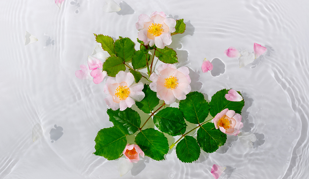 blommor
