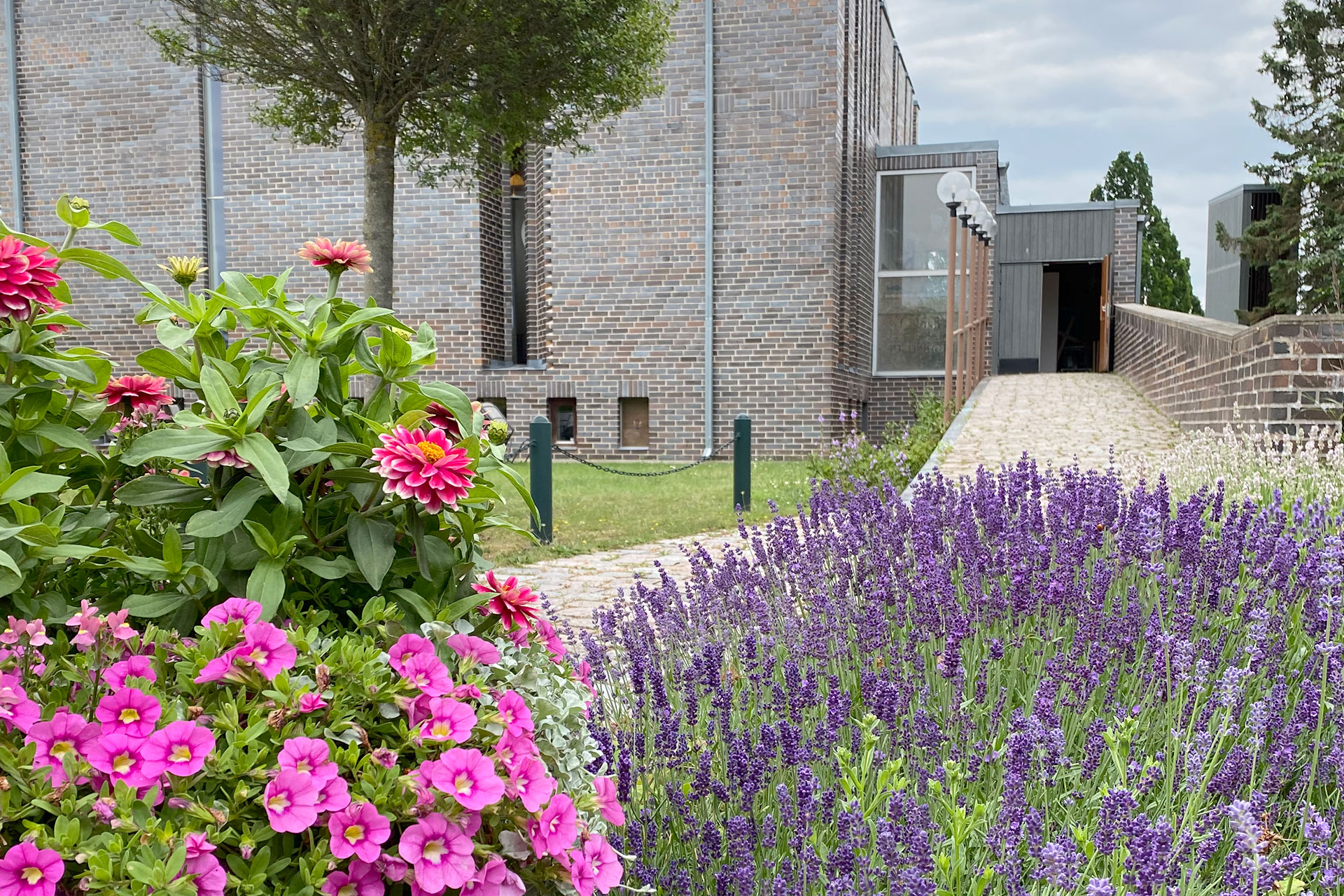 Visborgskyrkans blommor i början av juli