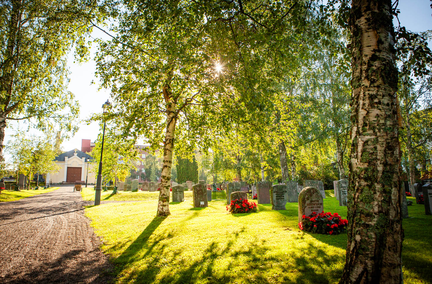 Kyrkogård i soljus. 