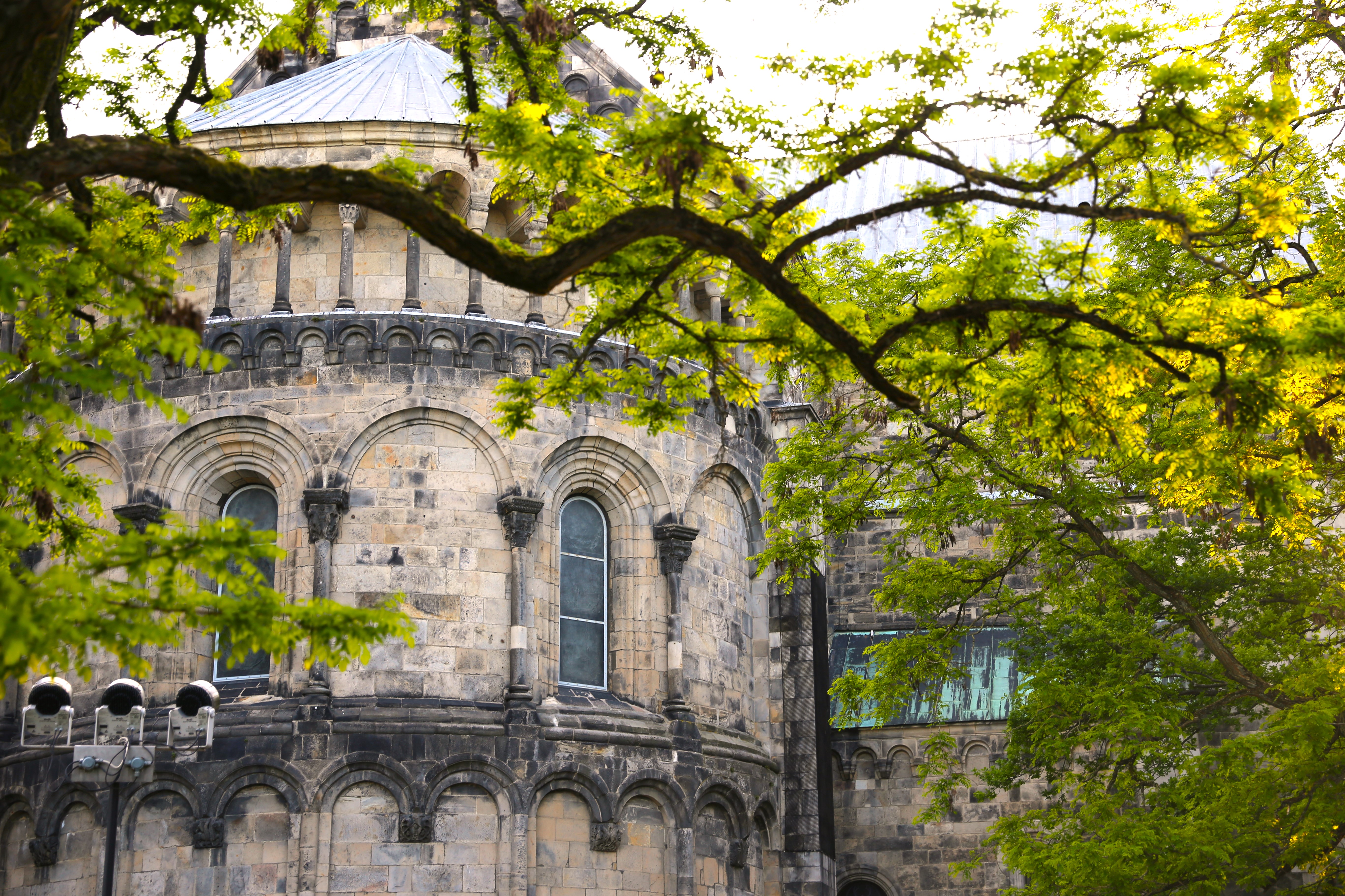 Bild på Domkyrkans absid genom ett grönt grenverk.