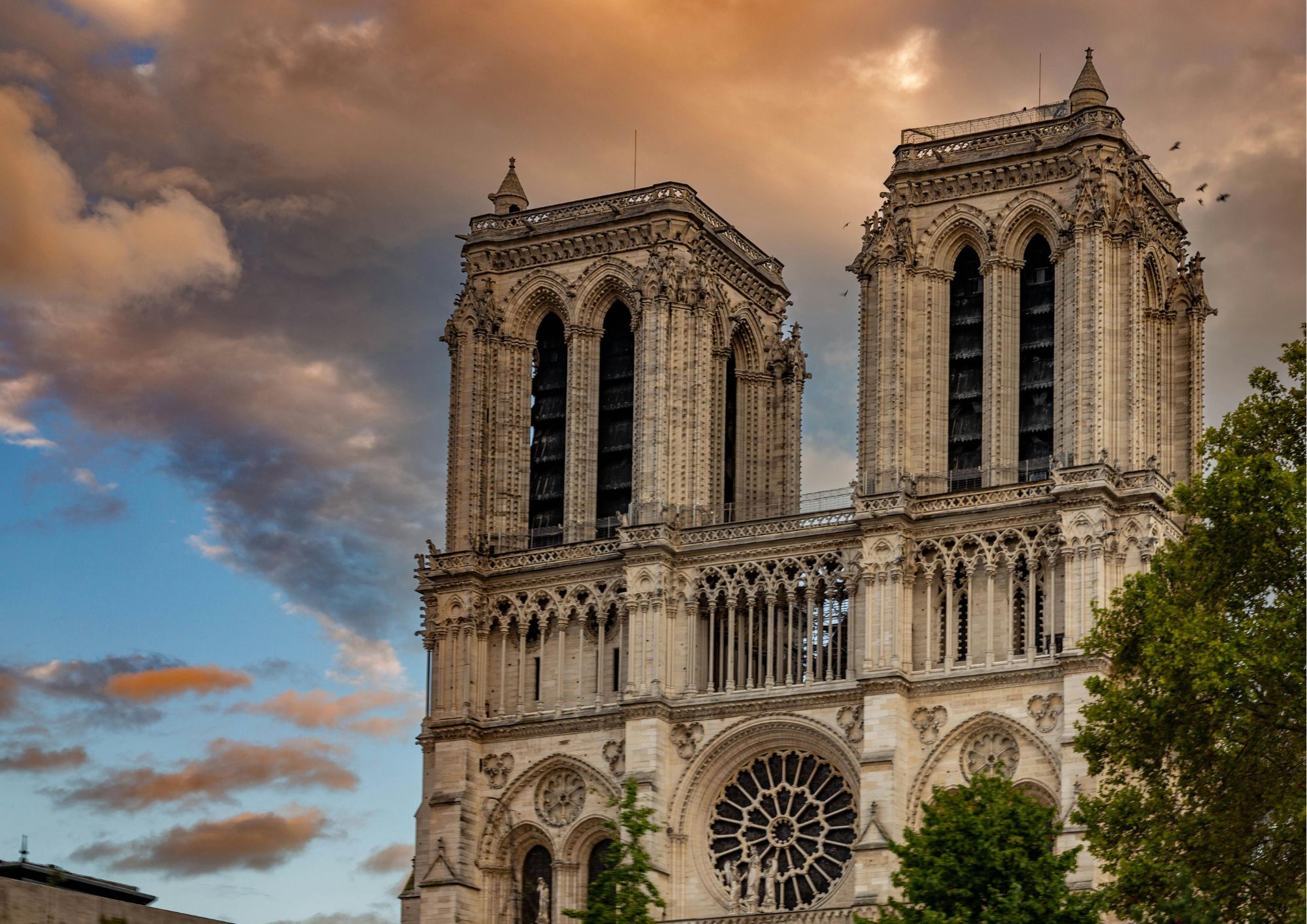 Notre dame