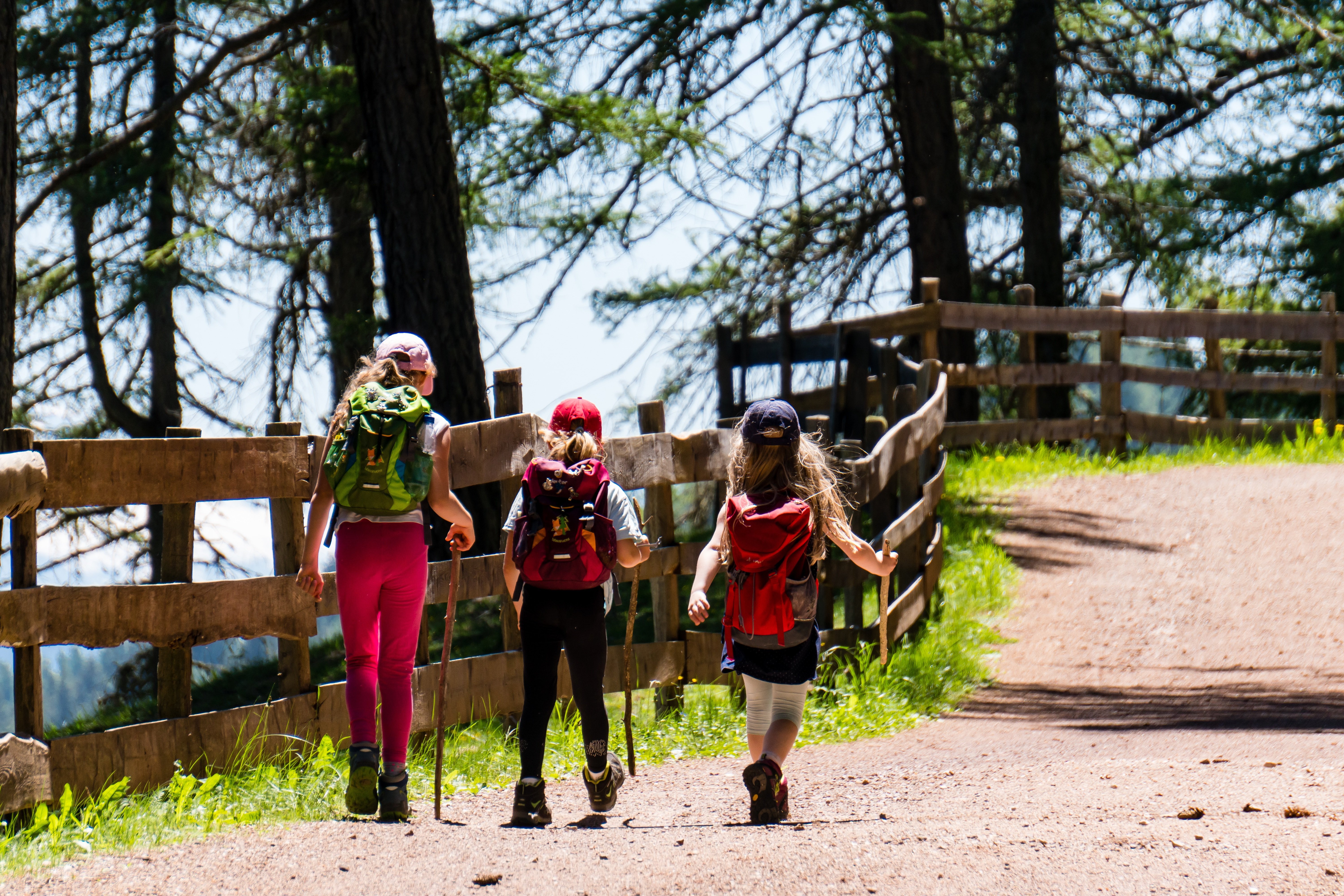 Kinder beim Wandern