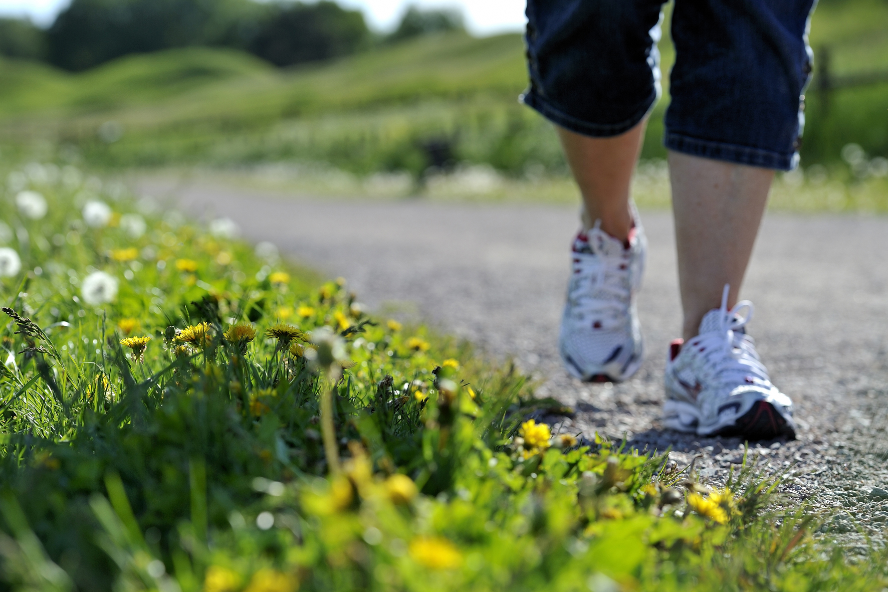 Fötter som går på en led med maskrosor intill
