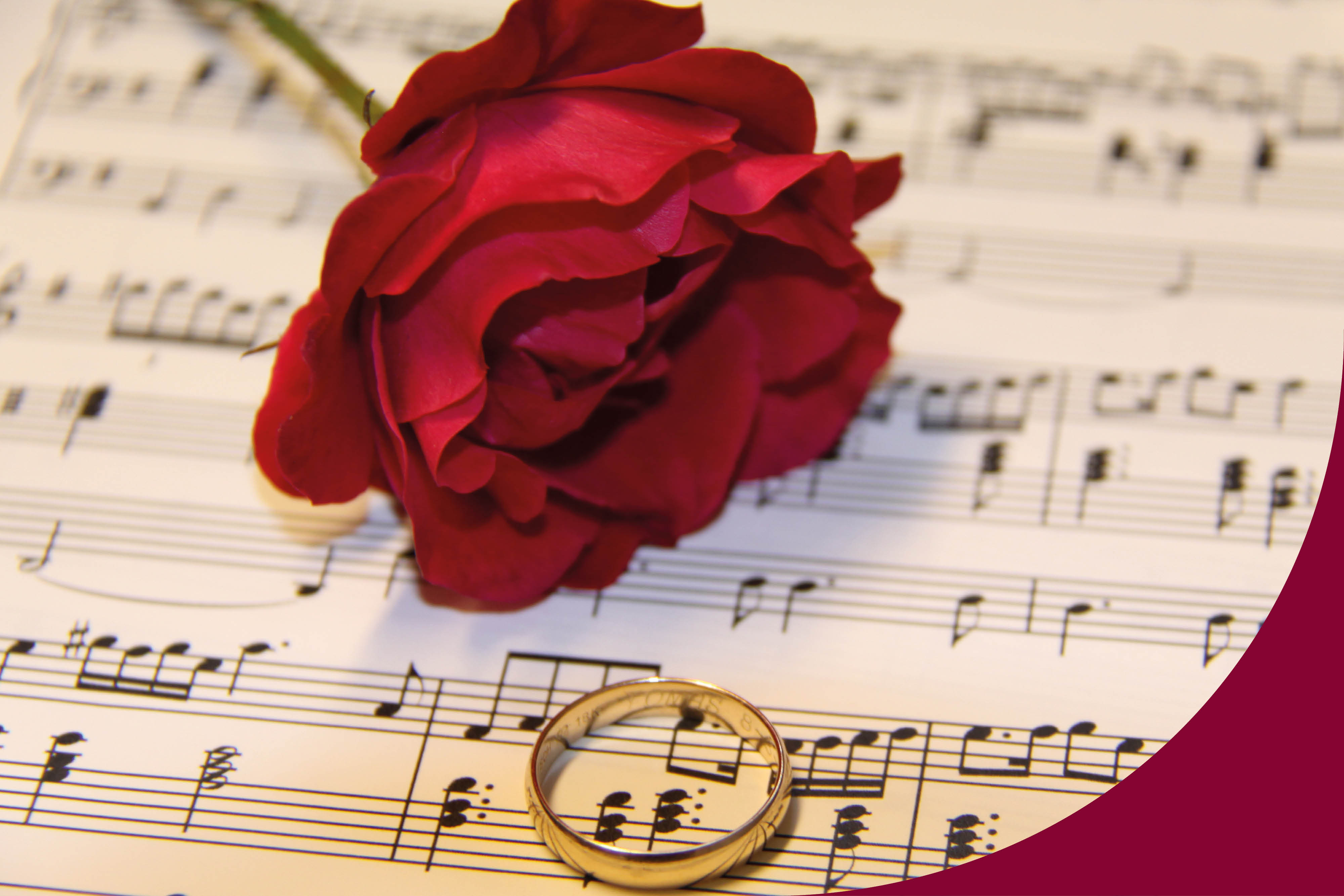 En röd ros ligger på ett norblad.