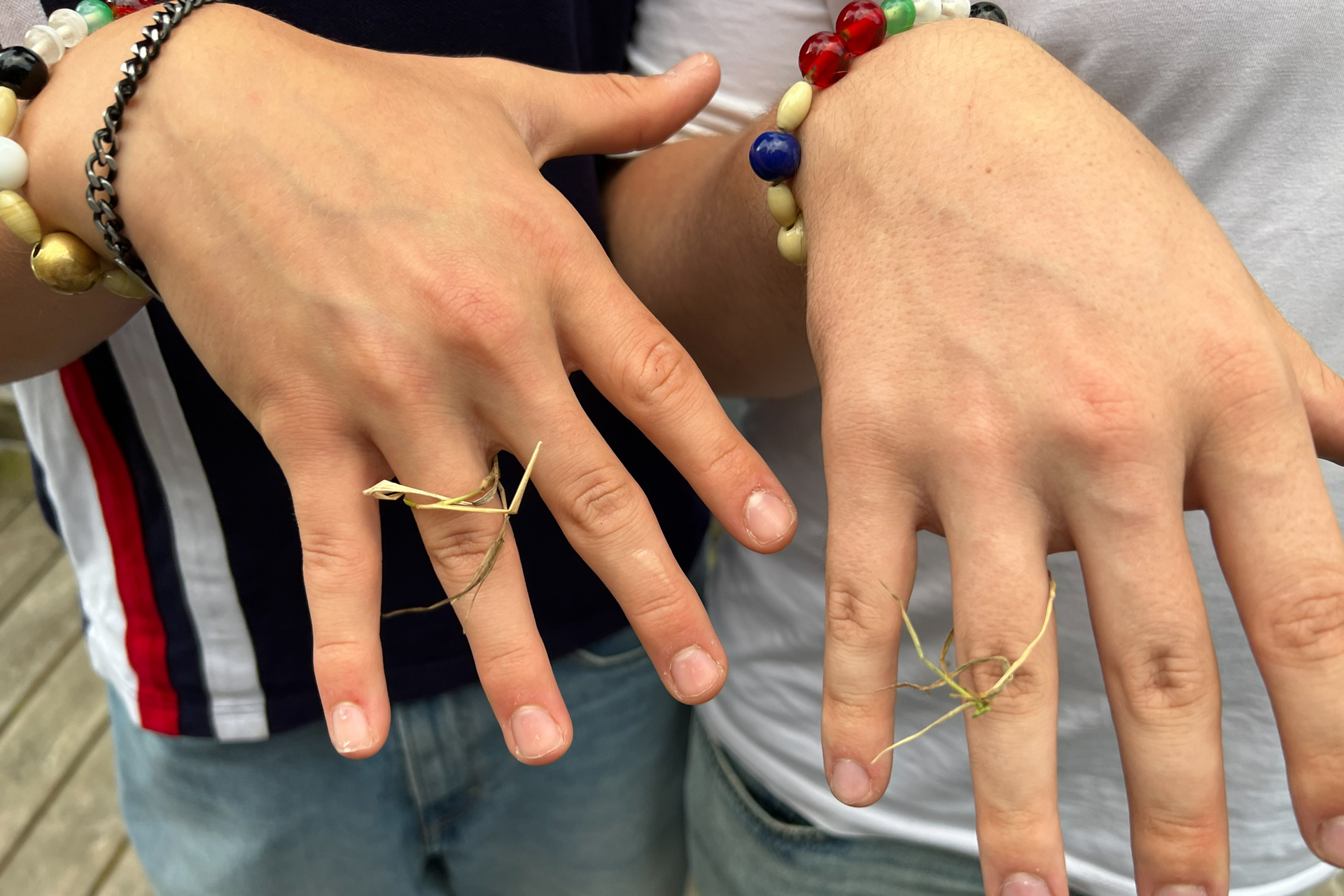 två händer med grässtrån mellan fingrarna. 