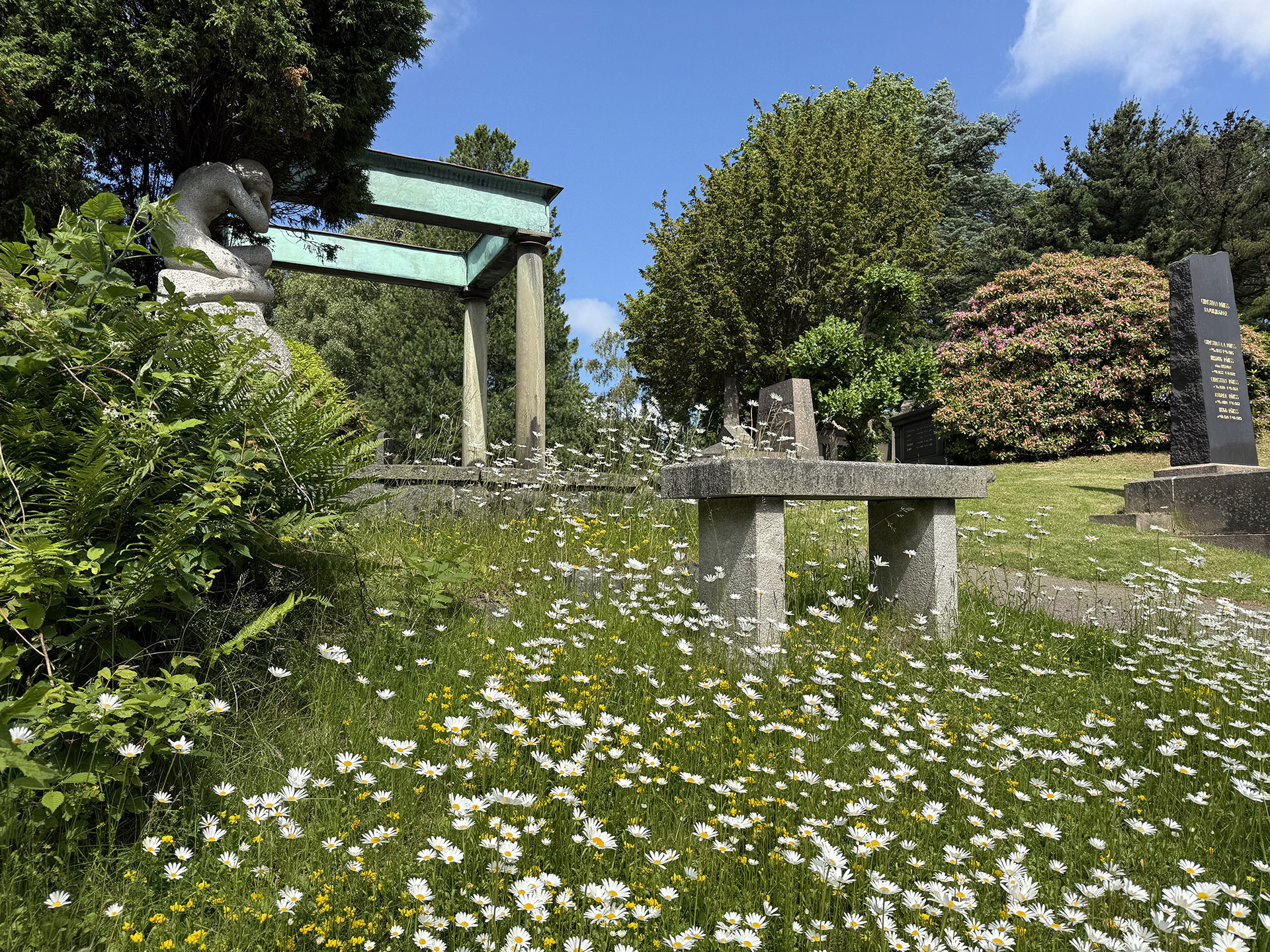 I förgrunden blommande prästkragar, i bakgrunden en grovt huggen stenbänk, en stenskulptur föreställande en sörjande kvinna och ett gravmonument med pelare och överliggare.