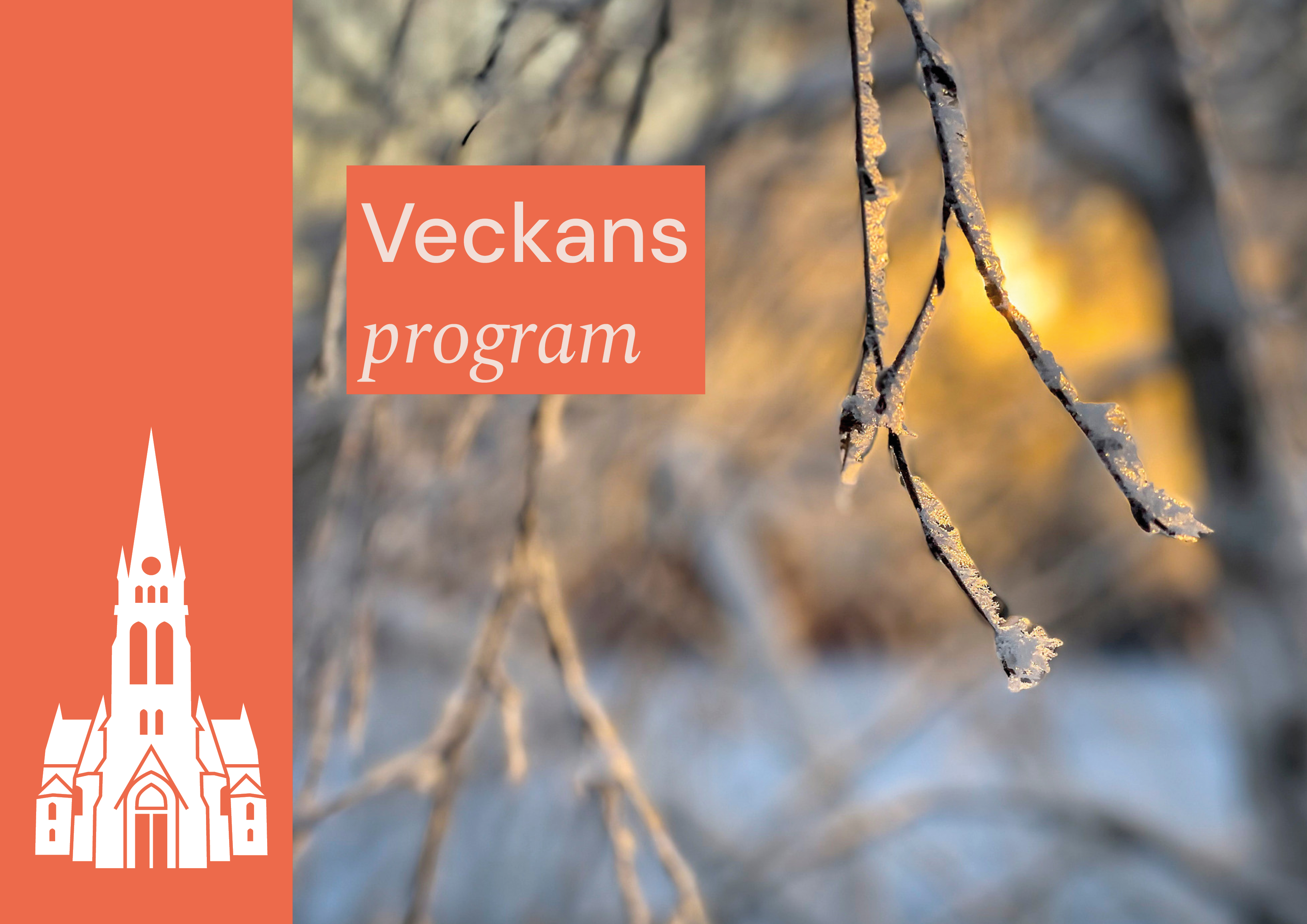 vinterlandskap i förgrunden snötäckta grenar på träd solstrålar