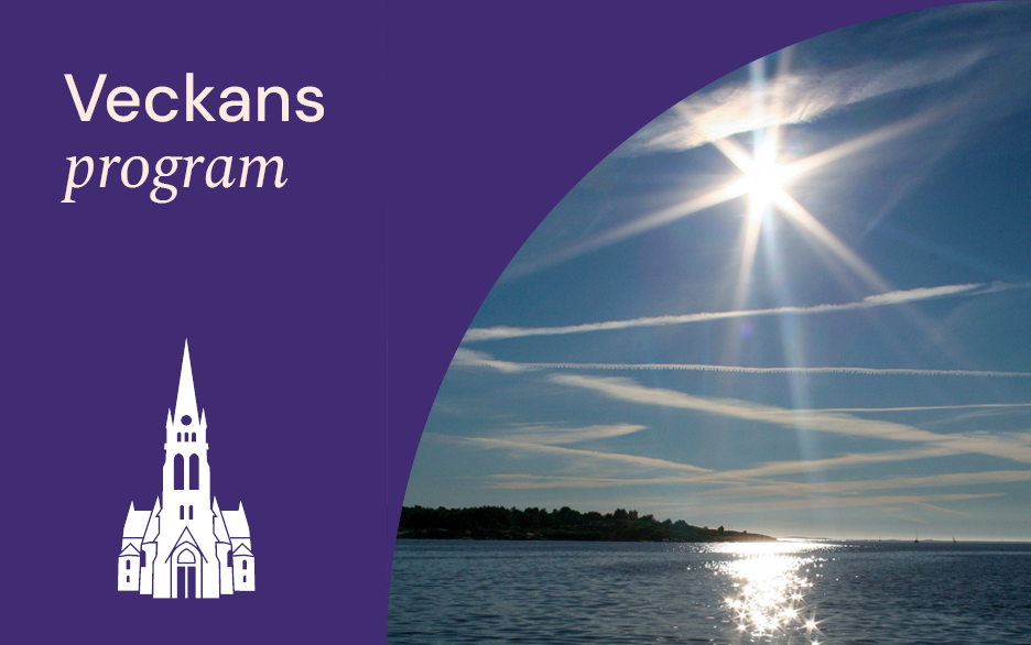 Sommardag Solsken över hav solen speglar sig i havet glittrar i horisonten land