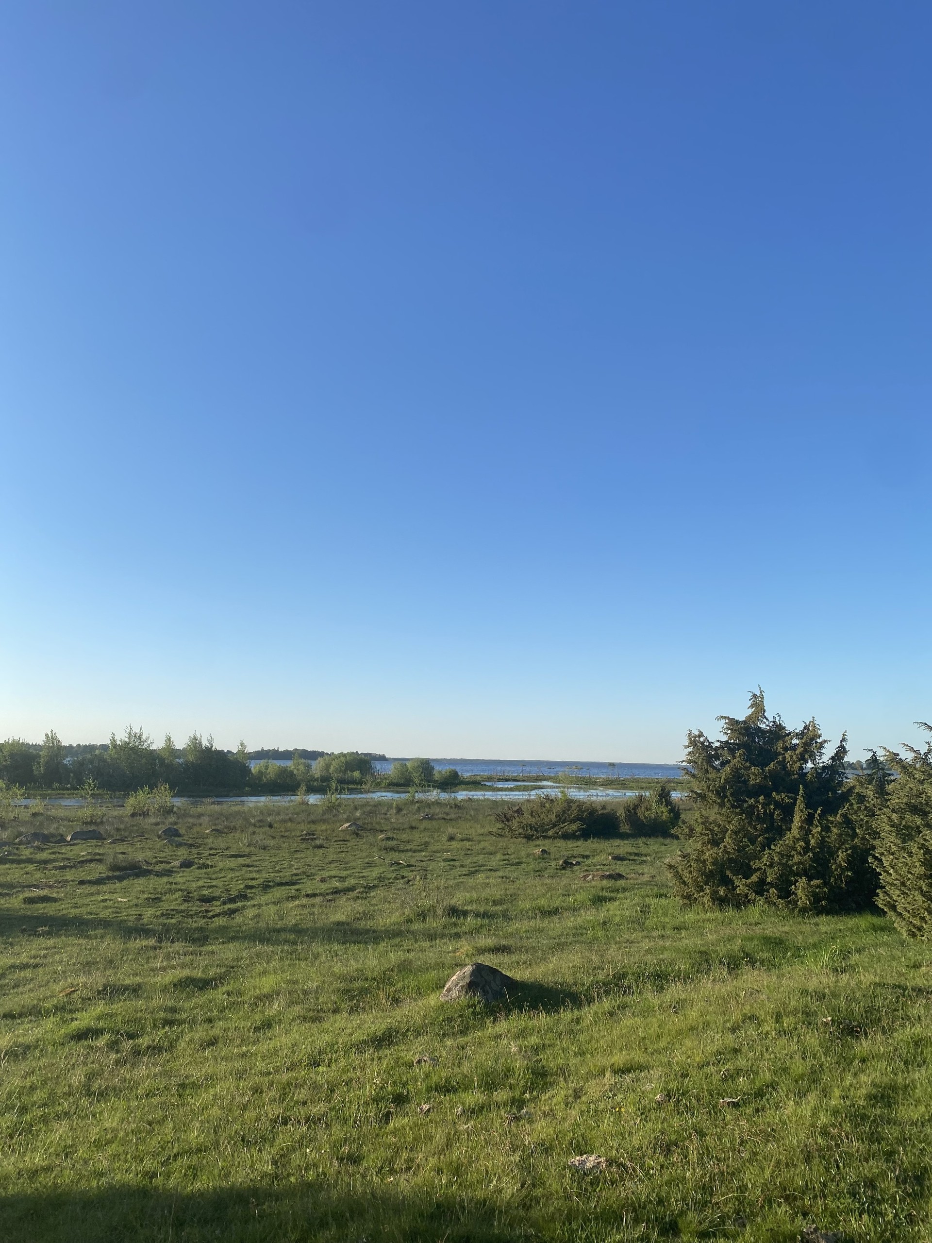 Blå himmel och ett platt landskap med våtmark i bakgrund och strandäng i förgrunden