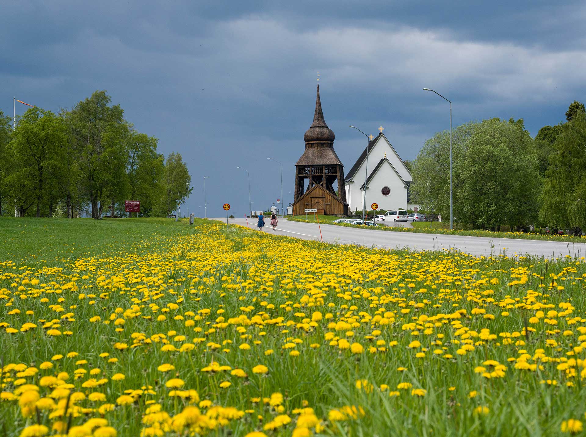 Sommaräng med Frösö kyrka i bakgrunden