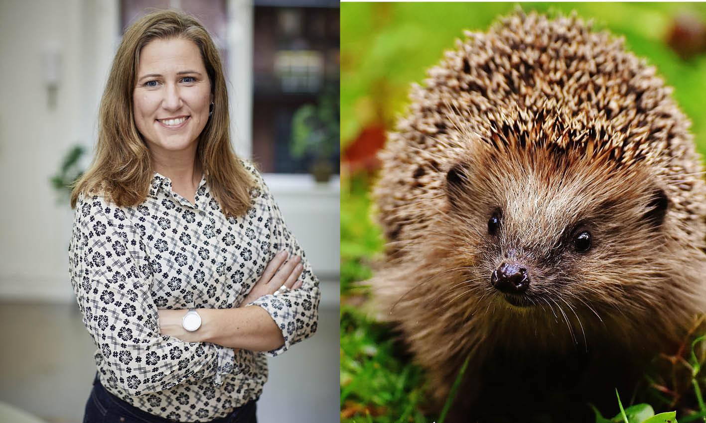 Fotokollage av Marie Dacke och en igenkott