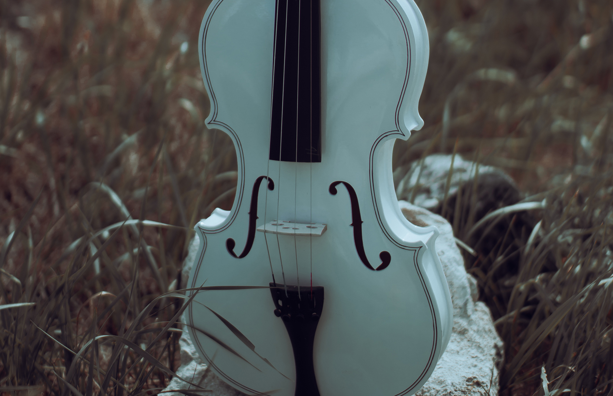 En blekbå fiol på ett sommarfält.