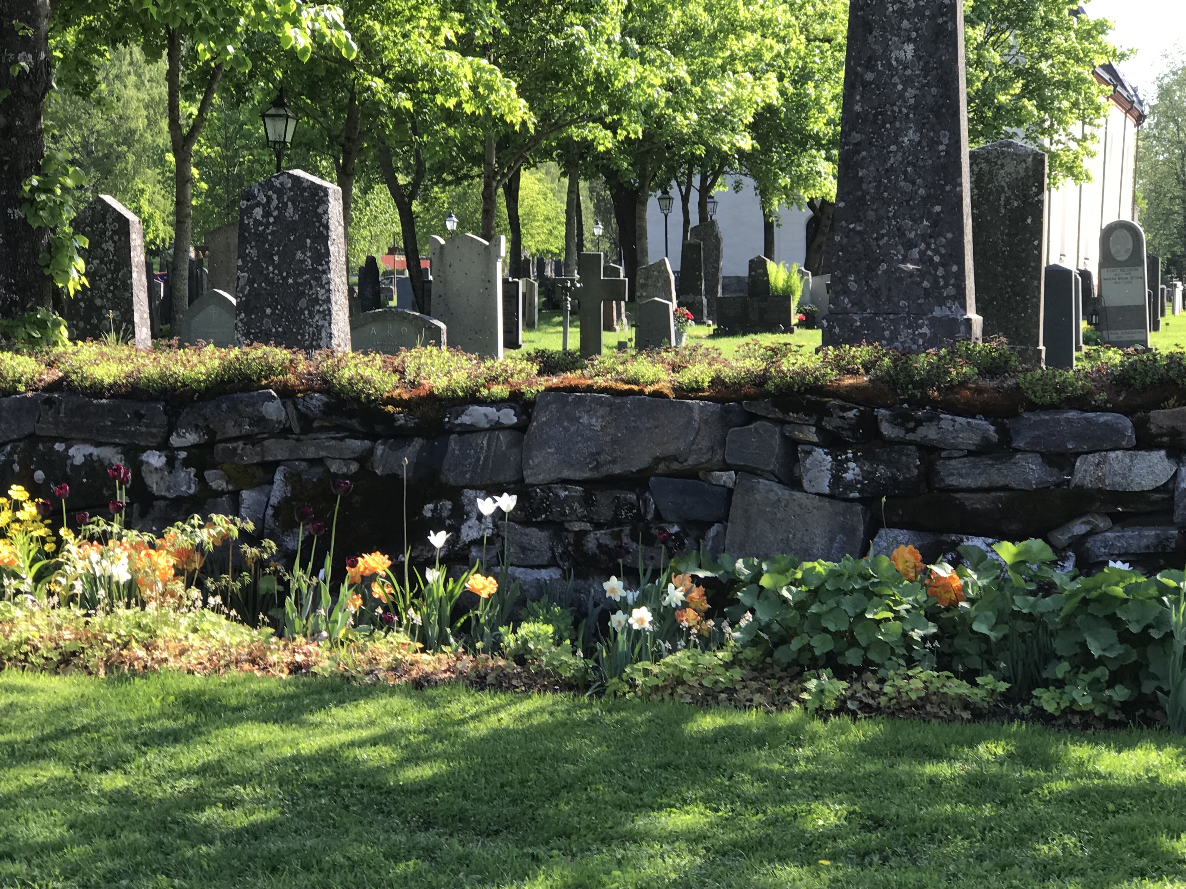Vår på kyrkogården
