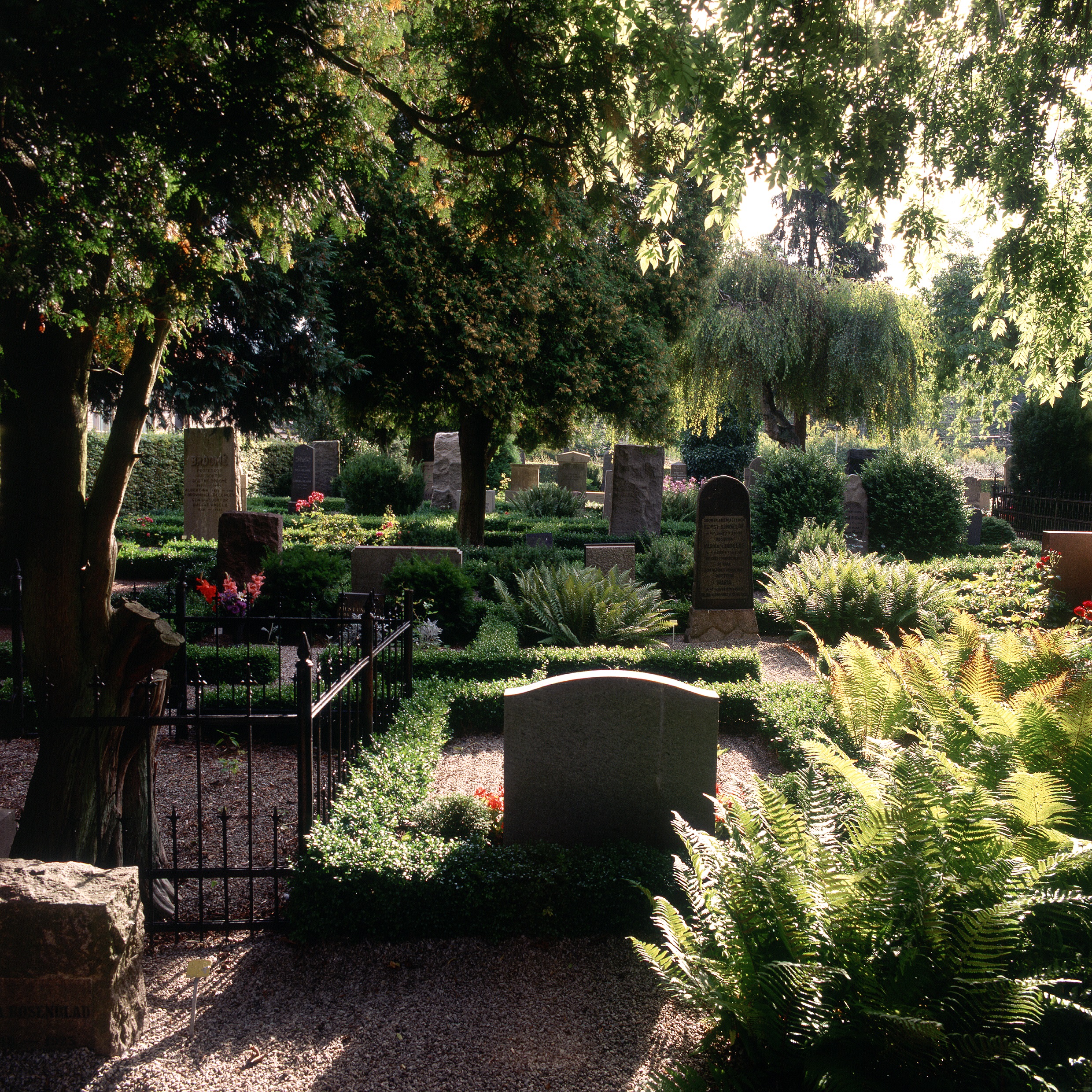 Sankt Peters Klosters kyrkogård