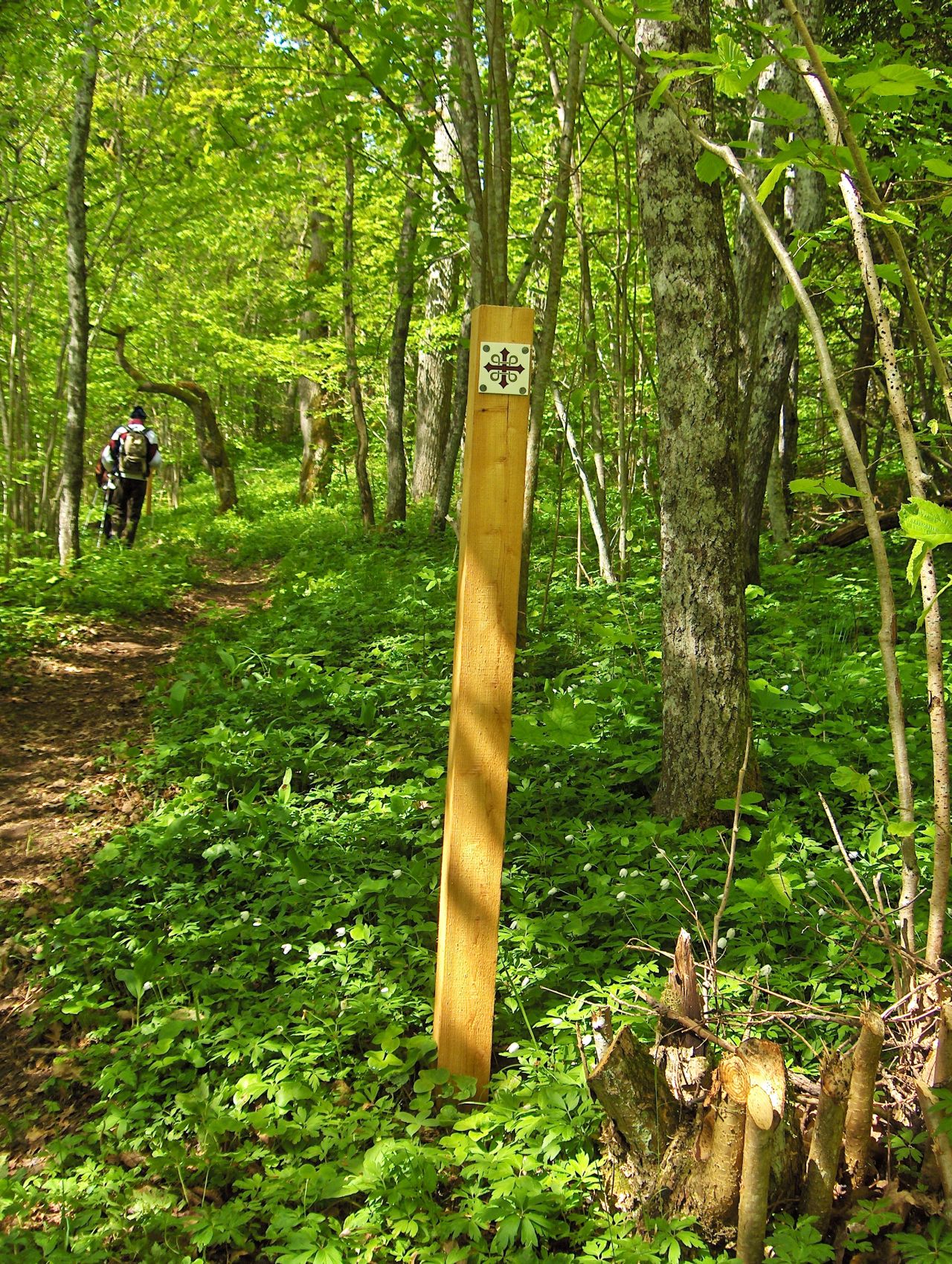 pilgrim och vandring