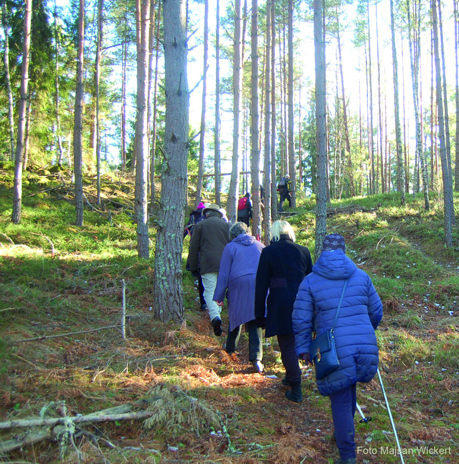 Vandrare i höstskog.