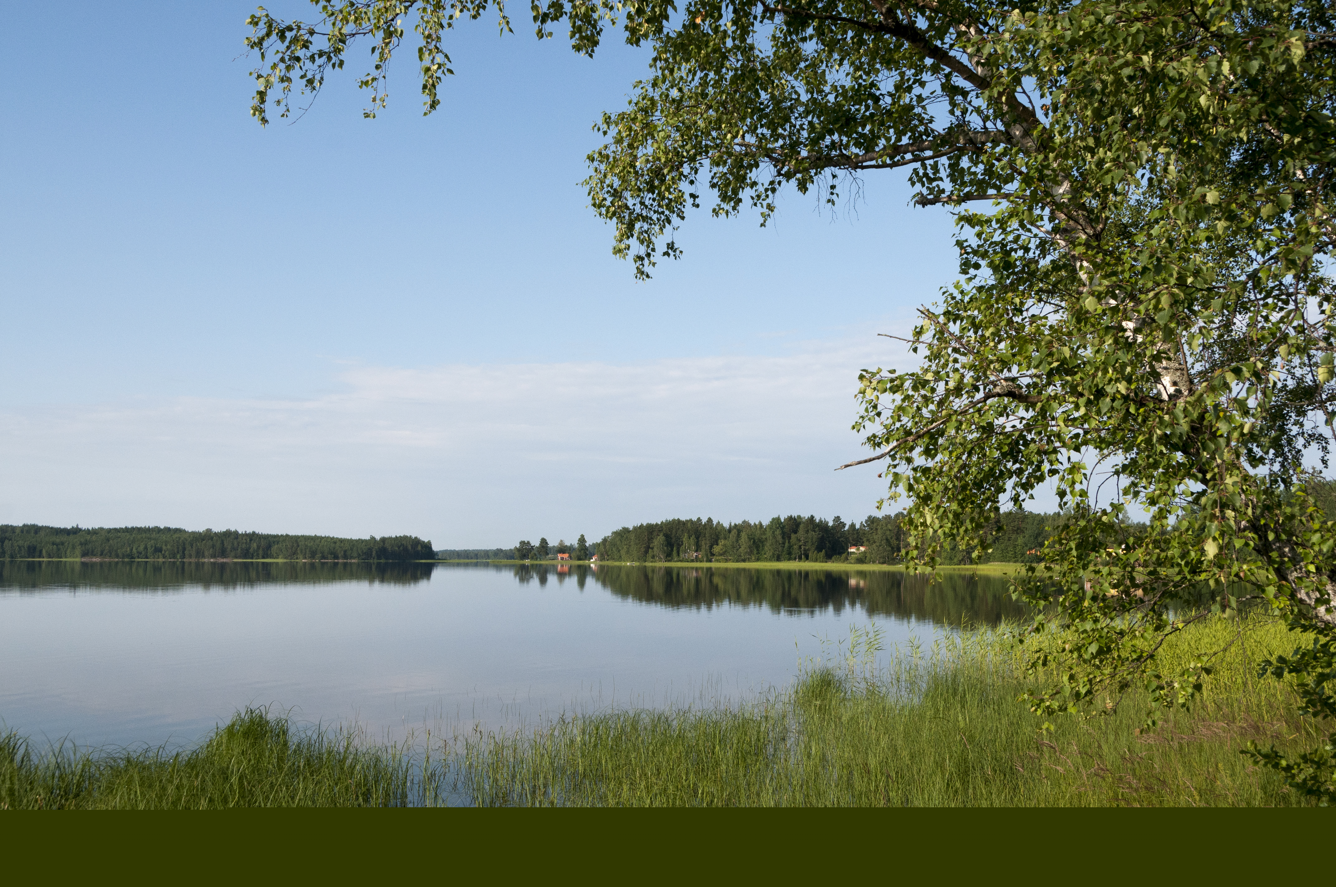 En stilla sjö under blå himmel.