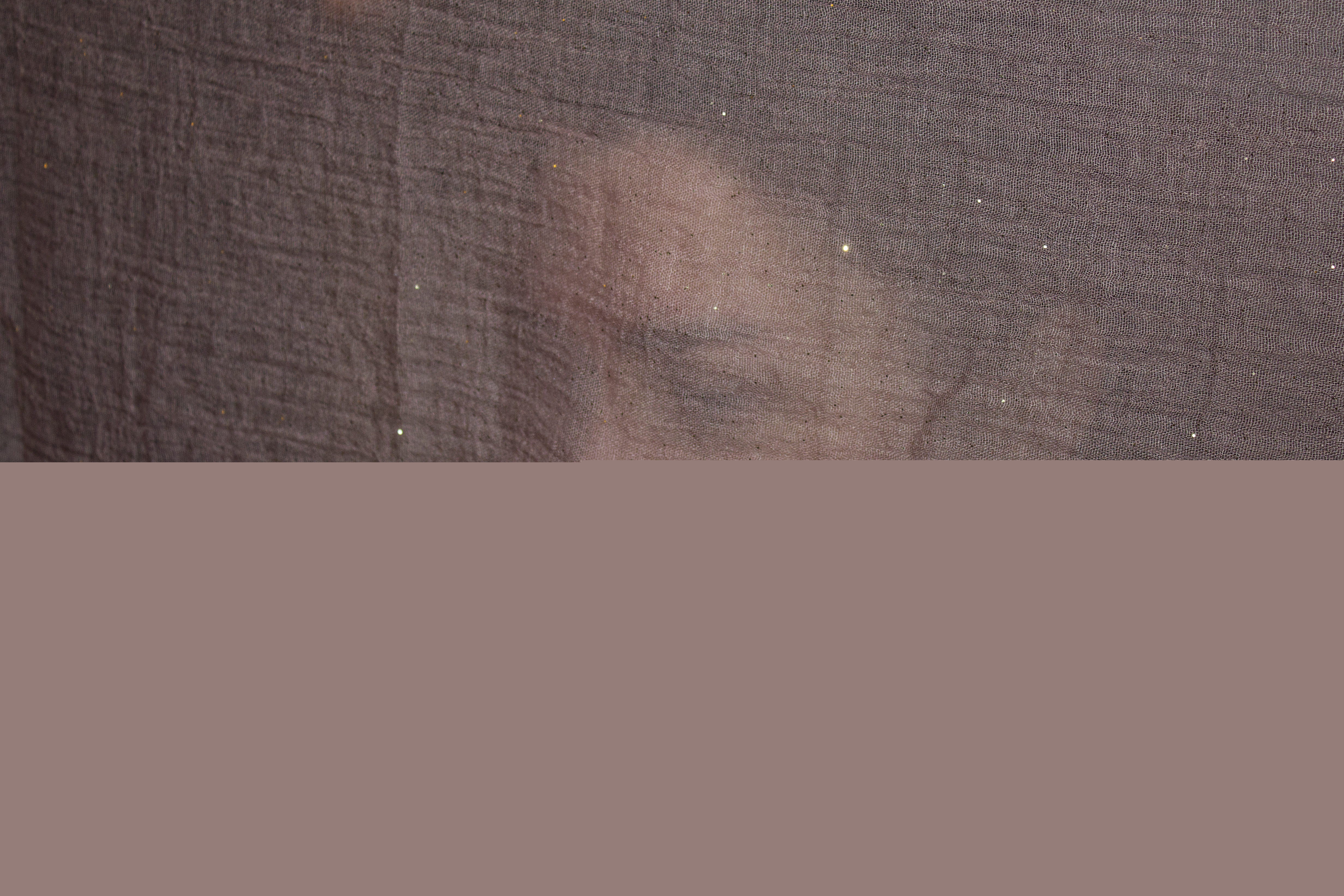 Ett ansikte skymtas bakom en lätt genomskinlig gardin.