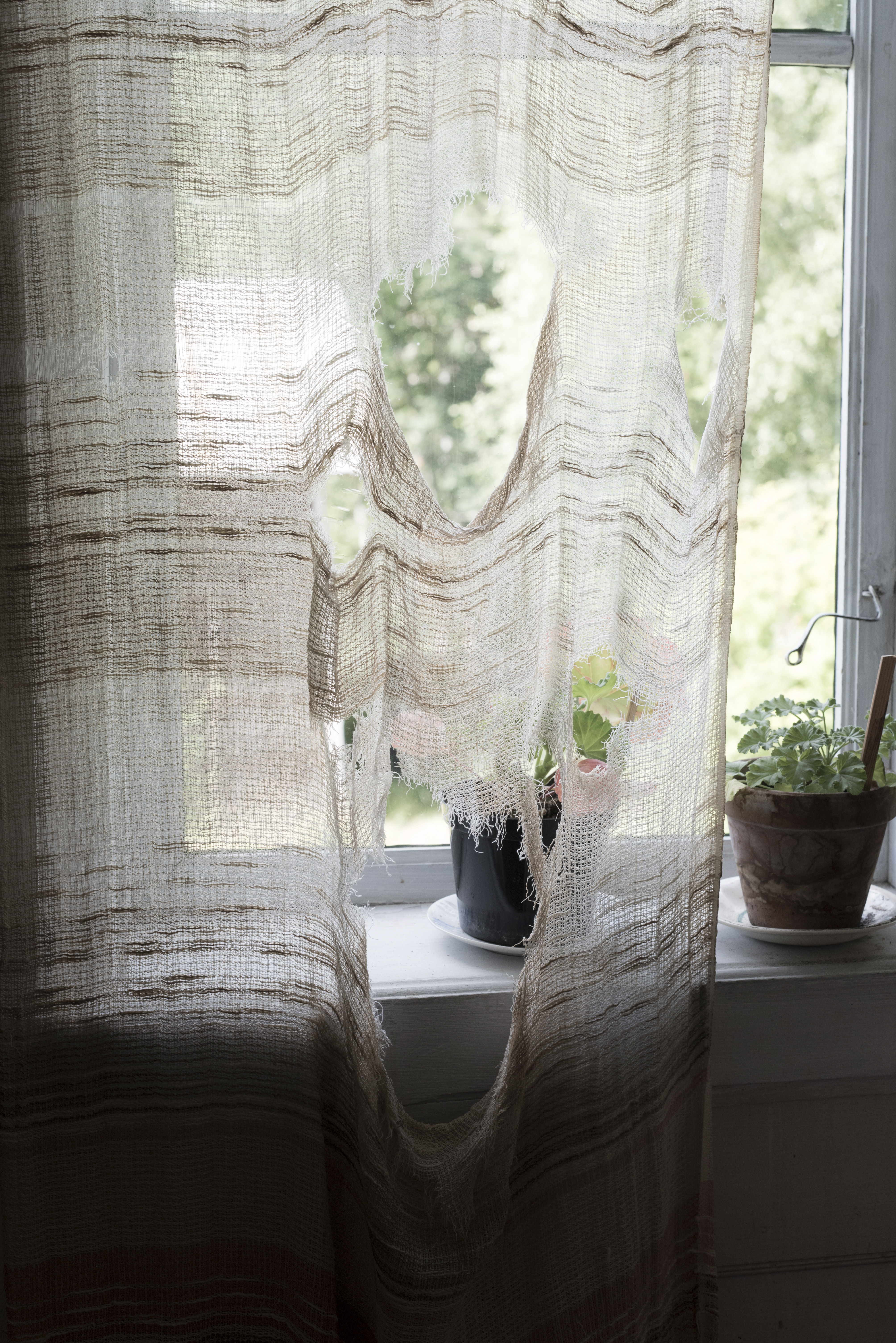 En gammal trasig gardin hänger i ett fönster.