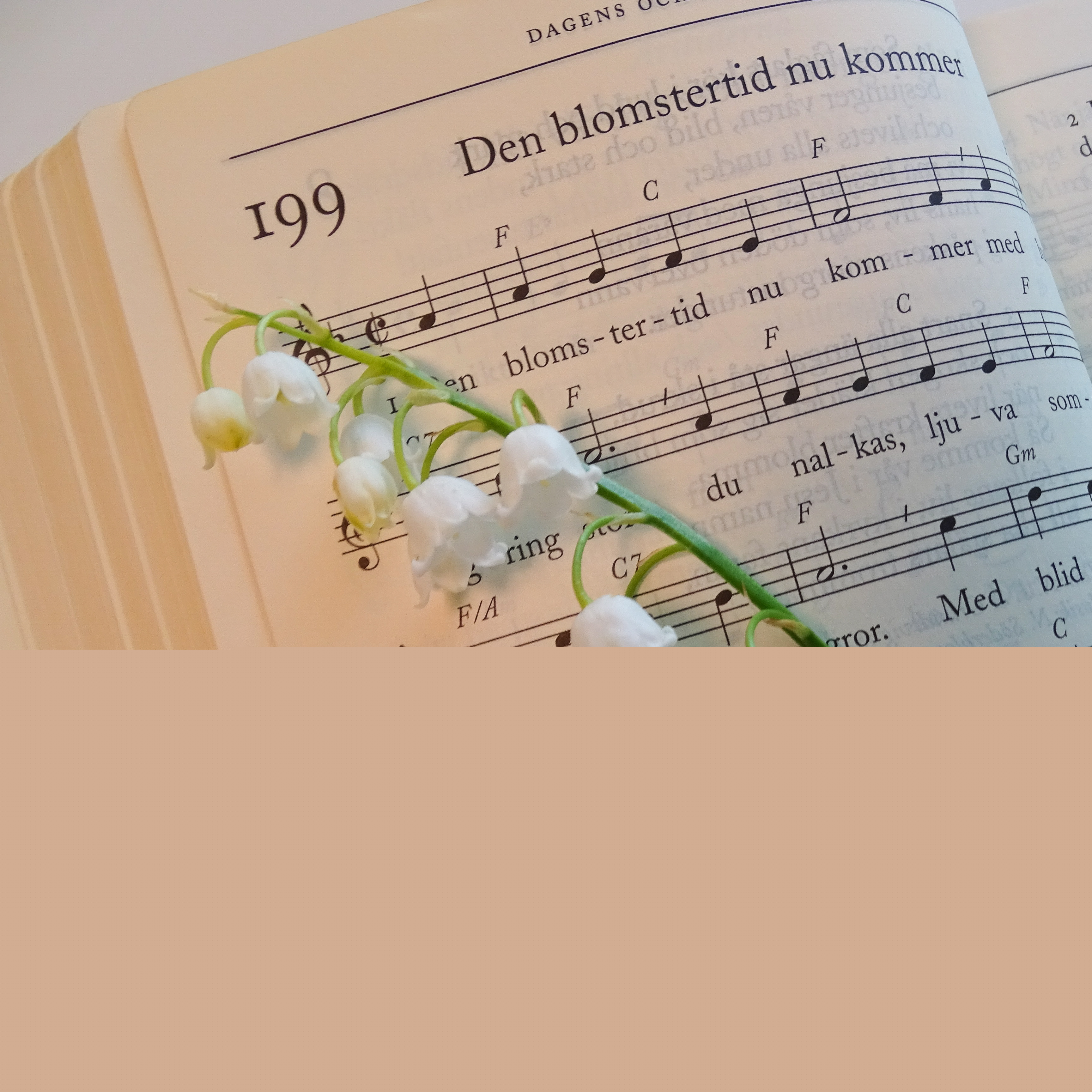 En liljekonvalj ligger på en psalmbok uppslagen på Den blomstertid nu kommer.
