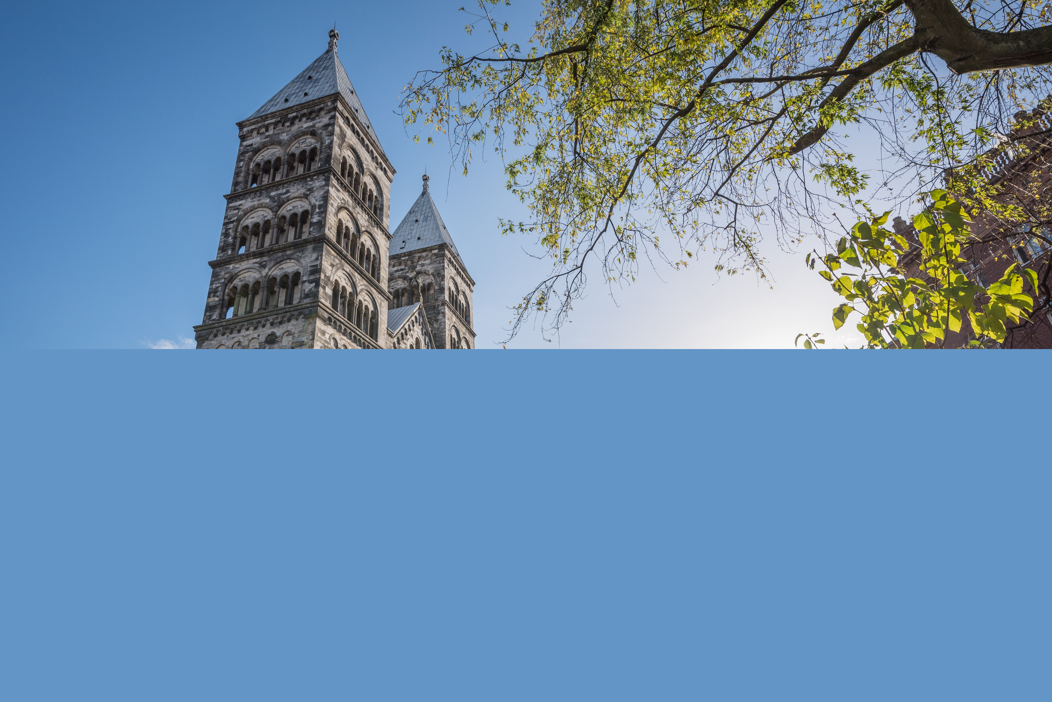 Lunds domkyrka sticker upp bakom några buskar.