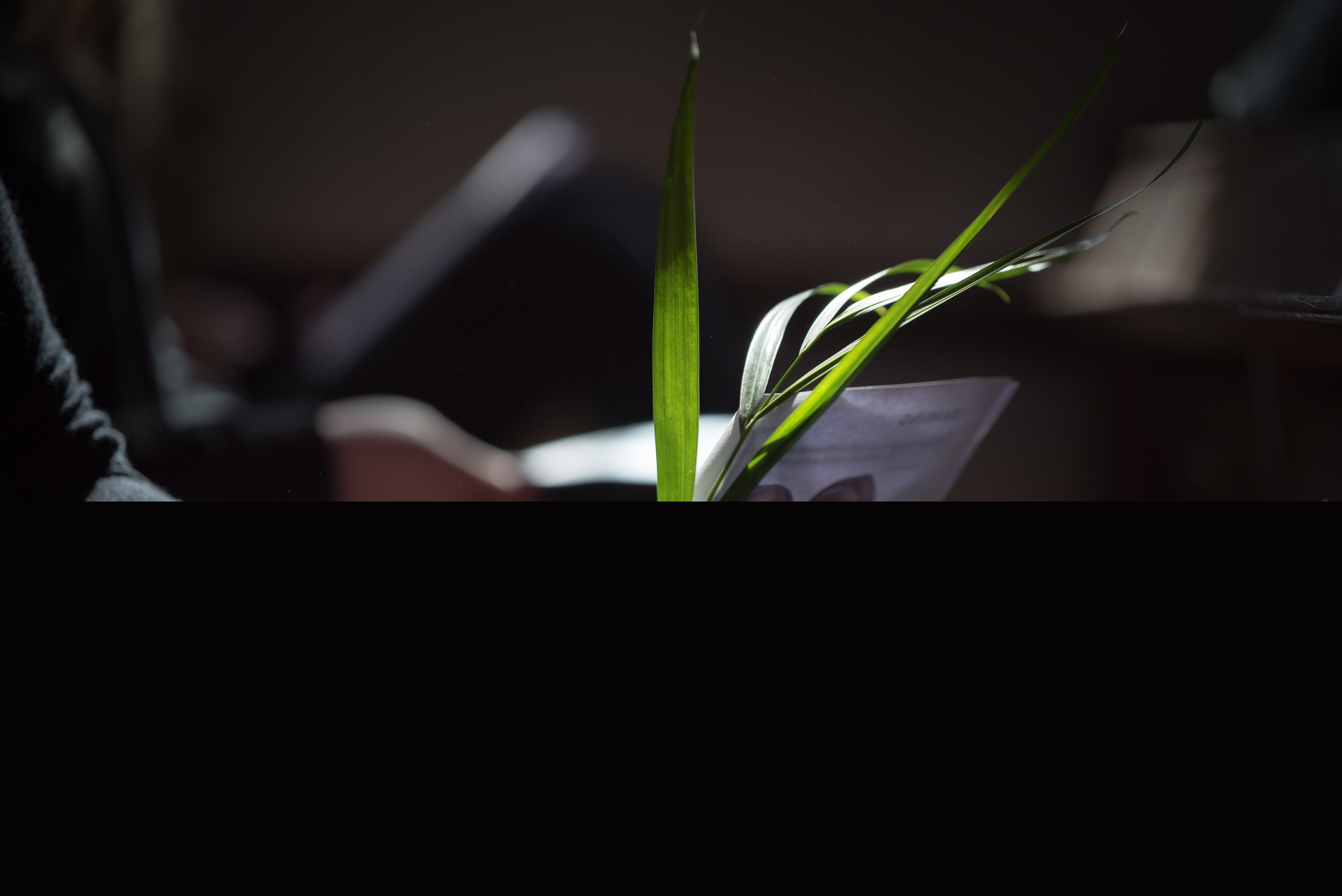 En person sitter med ett palmblad och ett häfte i händerna.