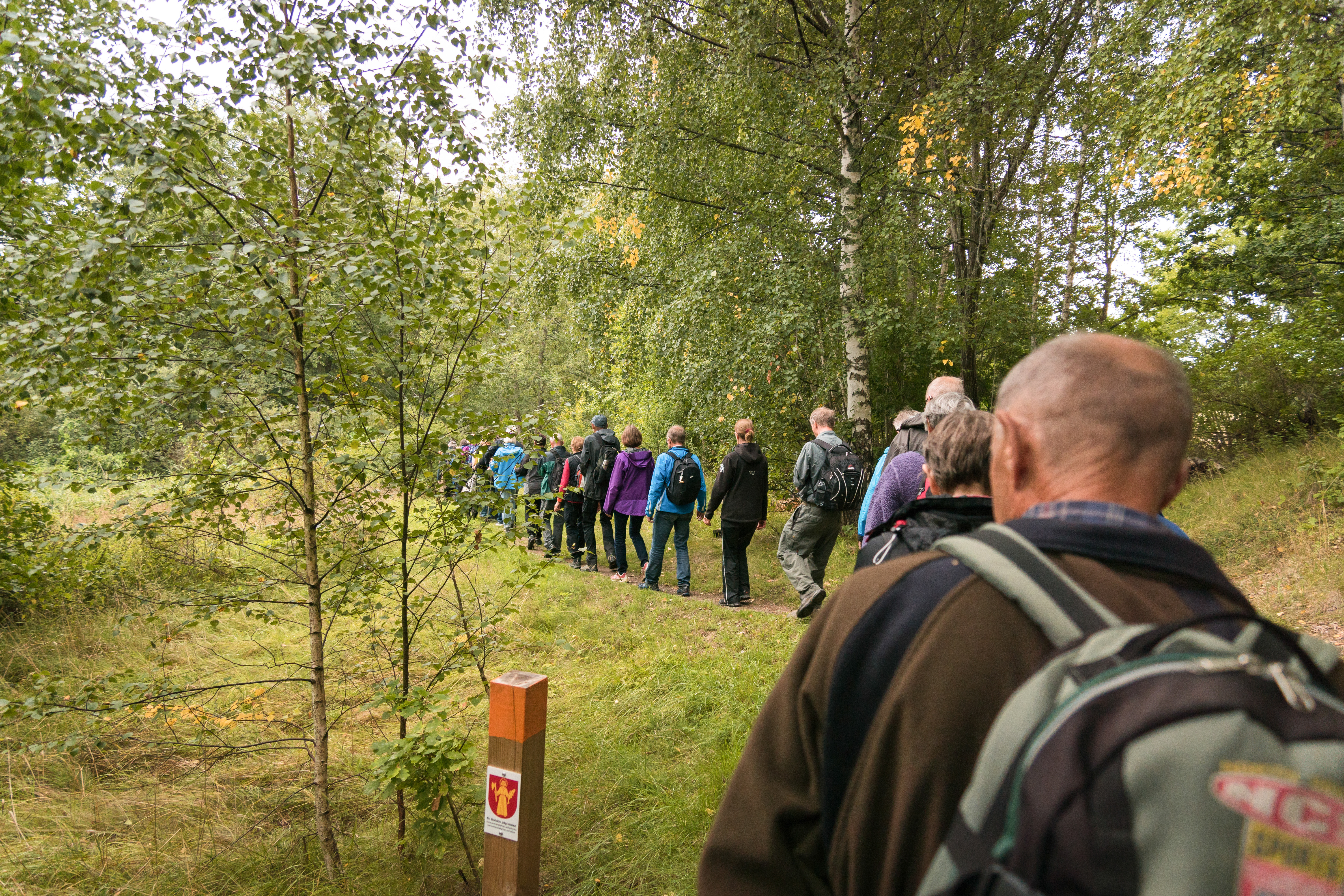 Ett led människor går på en stig bland lövträd.