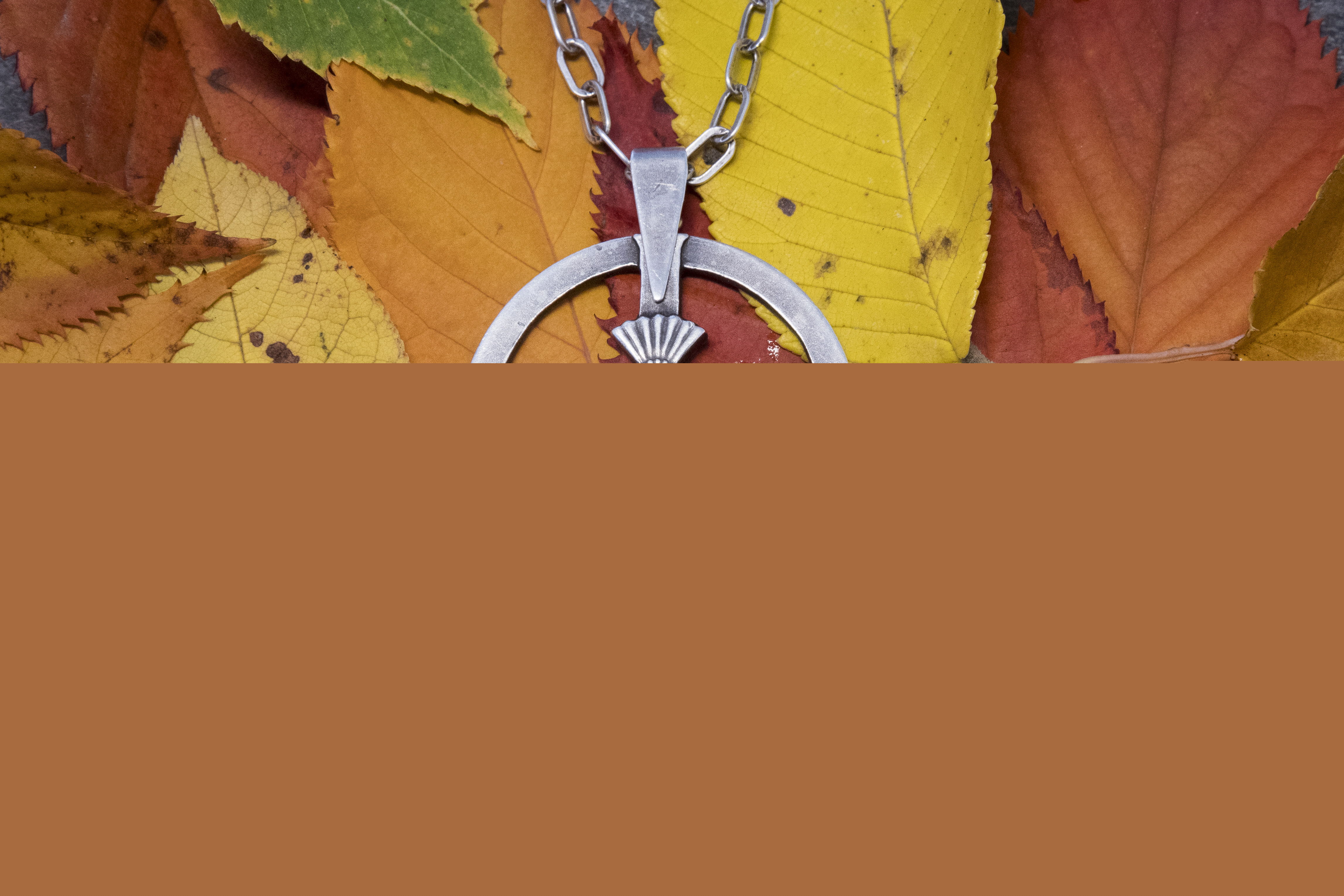 Ett halsband med ett diakonemblem ligger på några höstlöv.