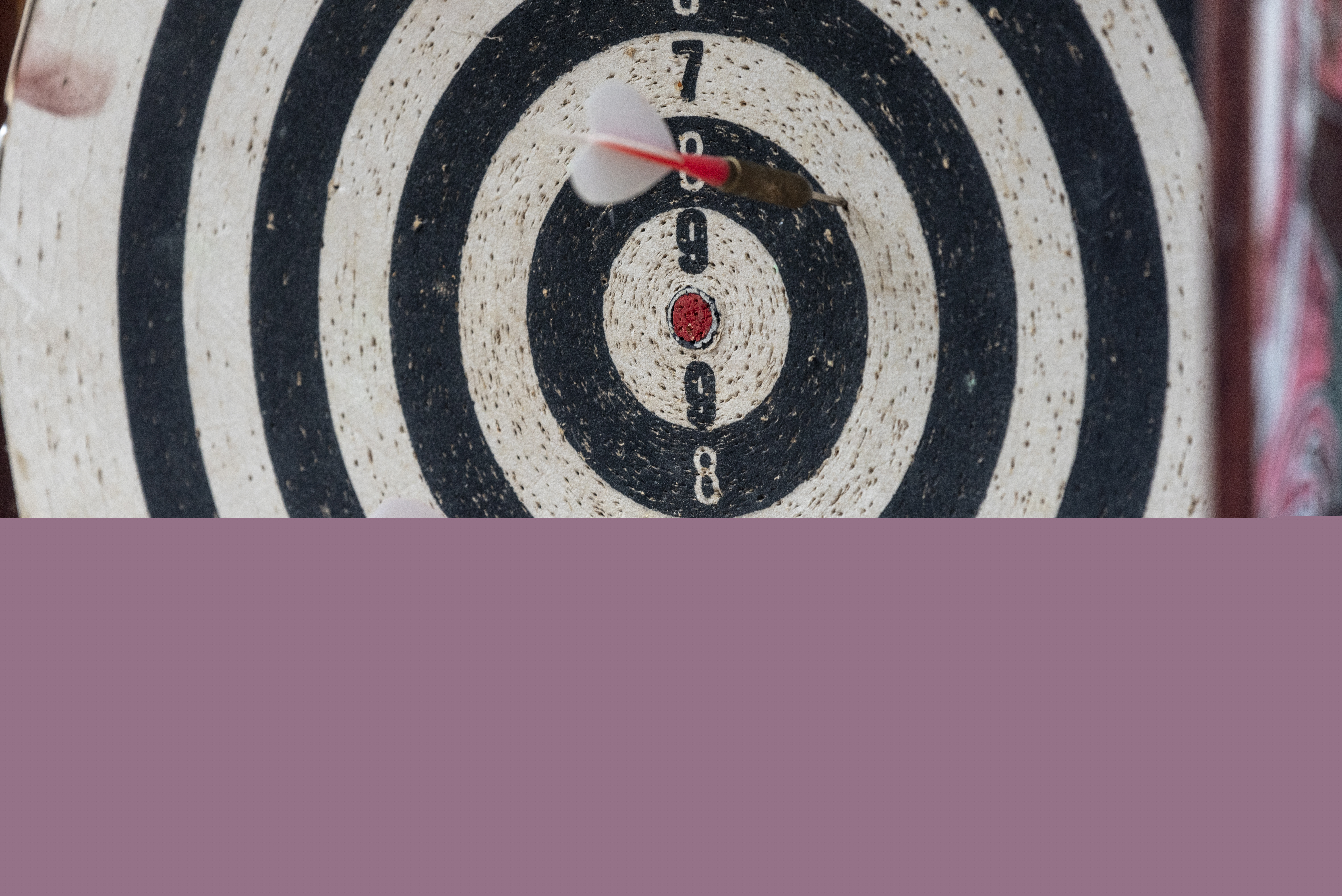 Närbild på en piltavla.