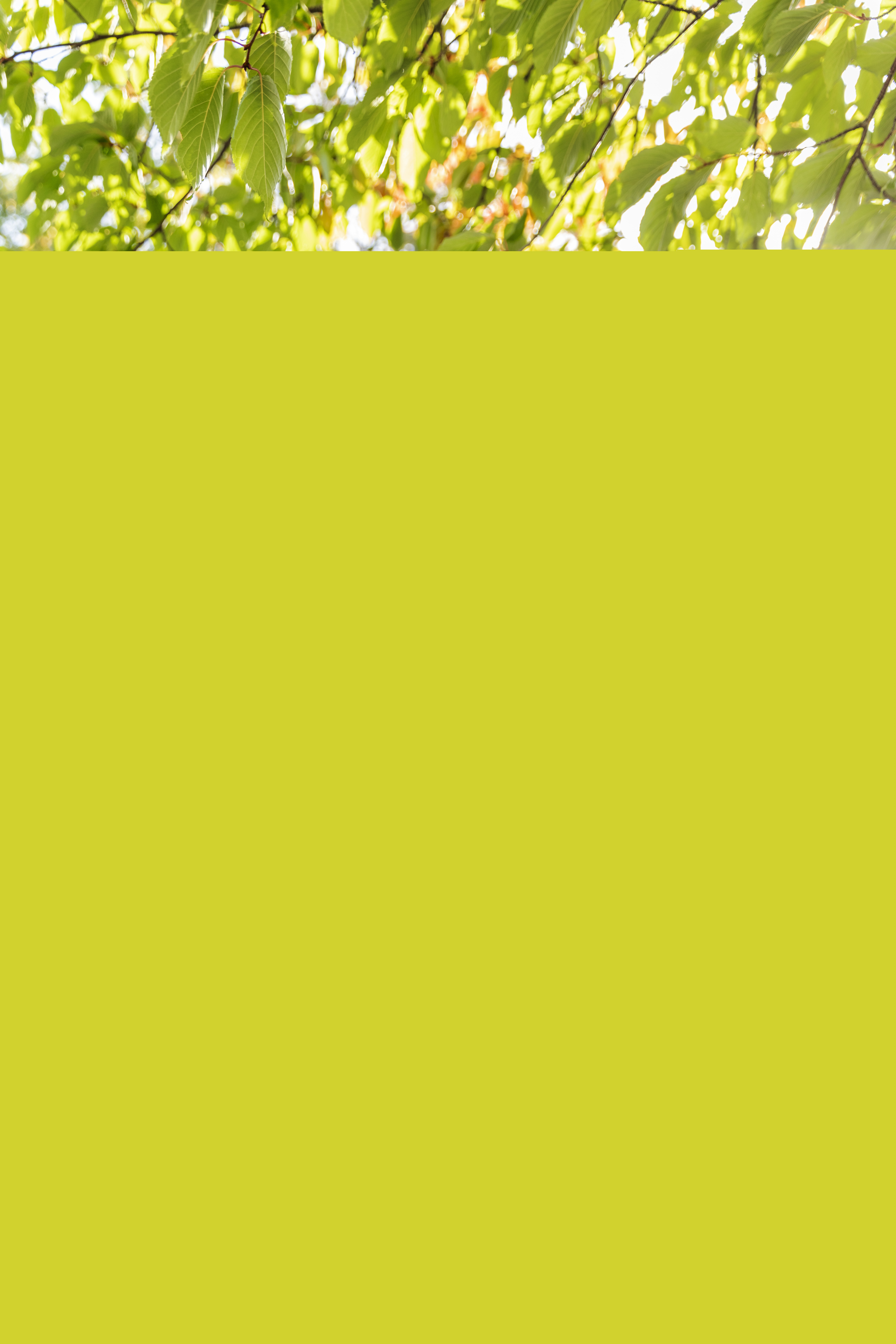 En skylt med texten Minneslund.