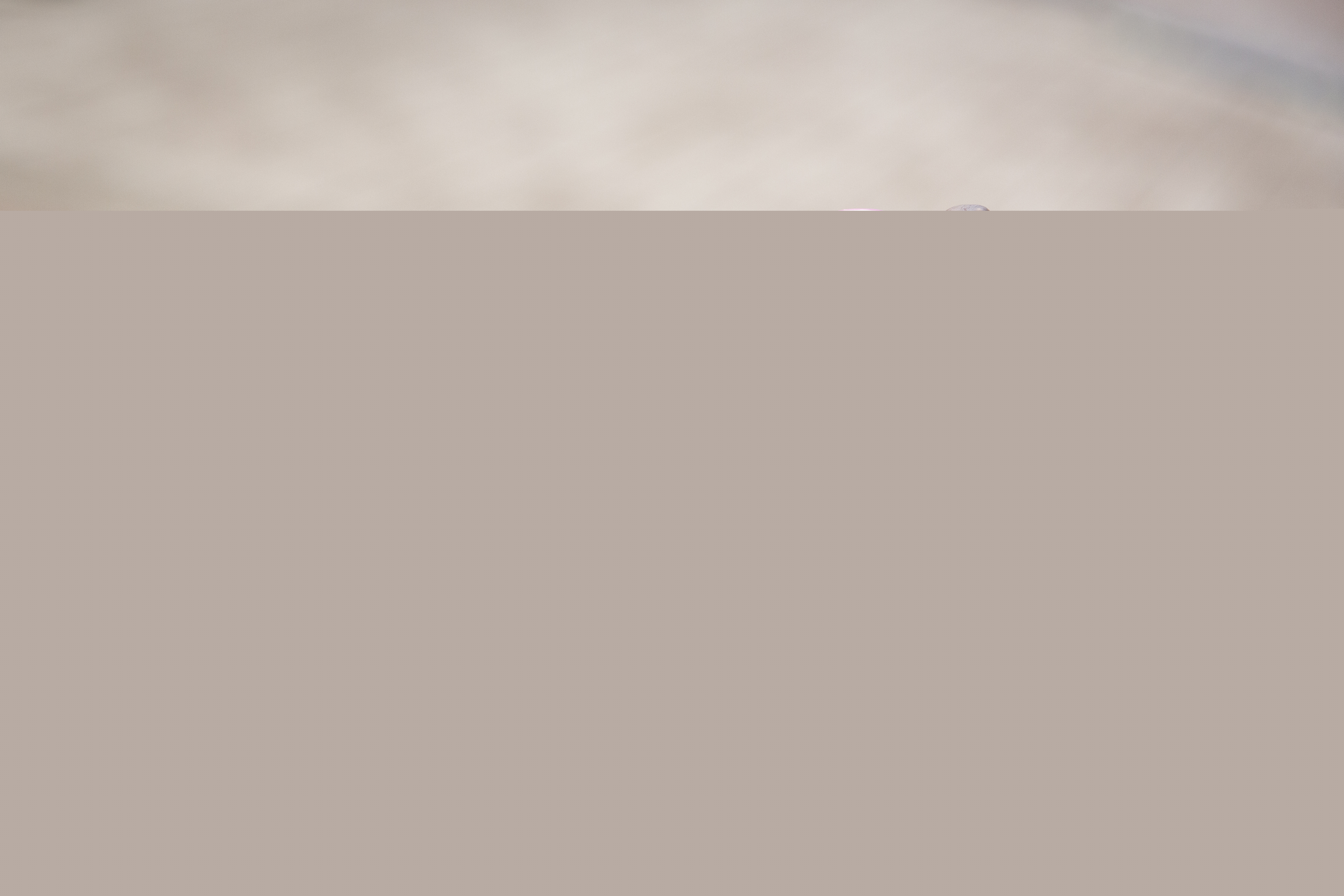 Ett par händer håller upp en mobil som visar en bild med texten Se människan.