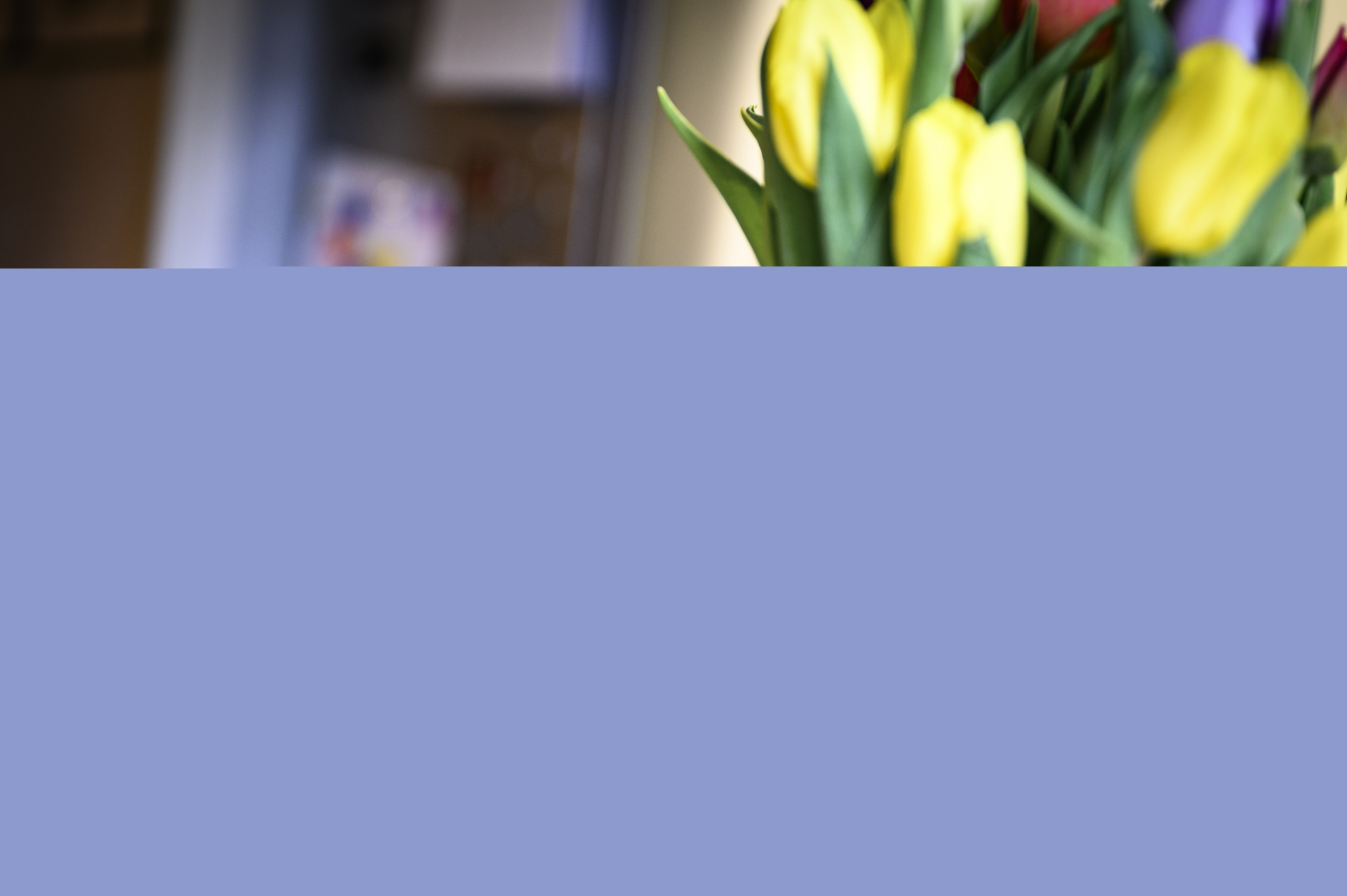 En mobiltelefon står uppställd bredvid en vas tulpaner. Skärmen visar en biskop som håller gudstjänst.