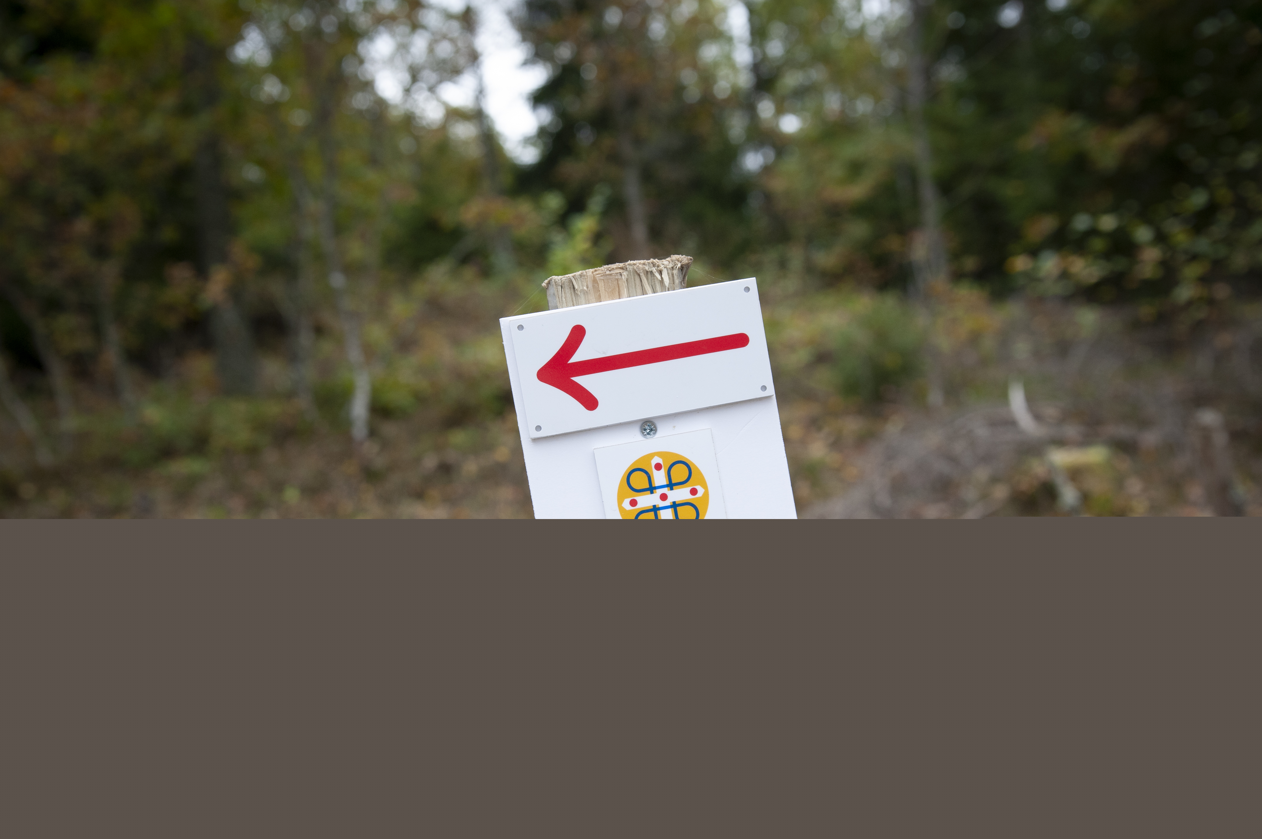 En skylt i skogen pekar ut riktningen för Pilgrimsleden.