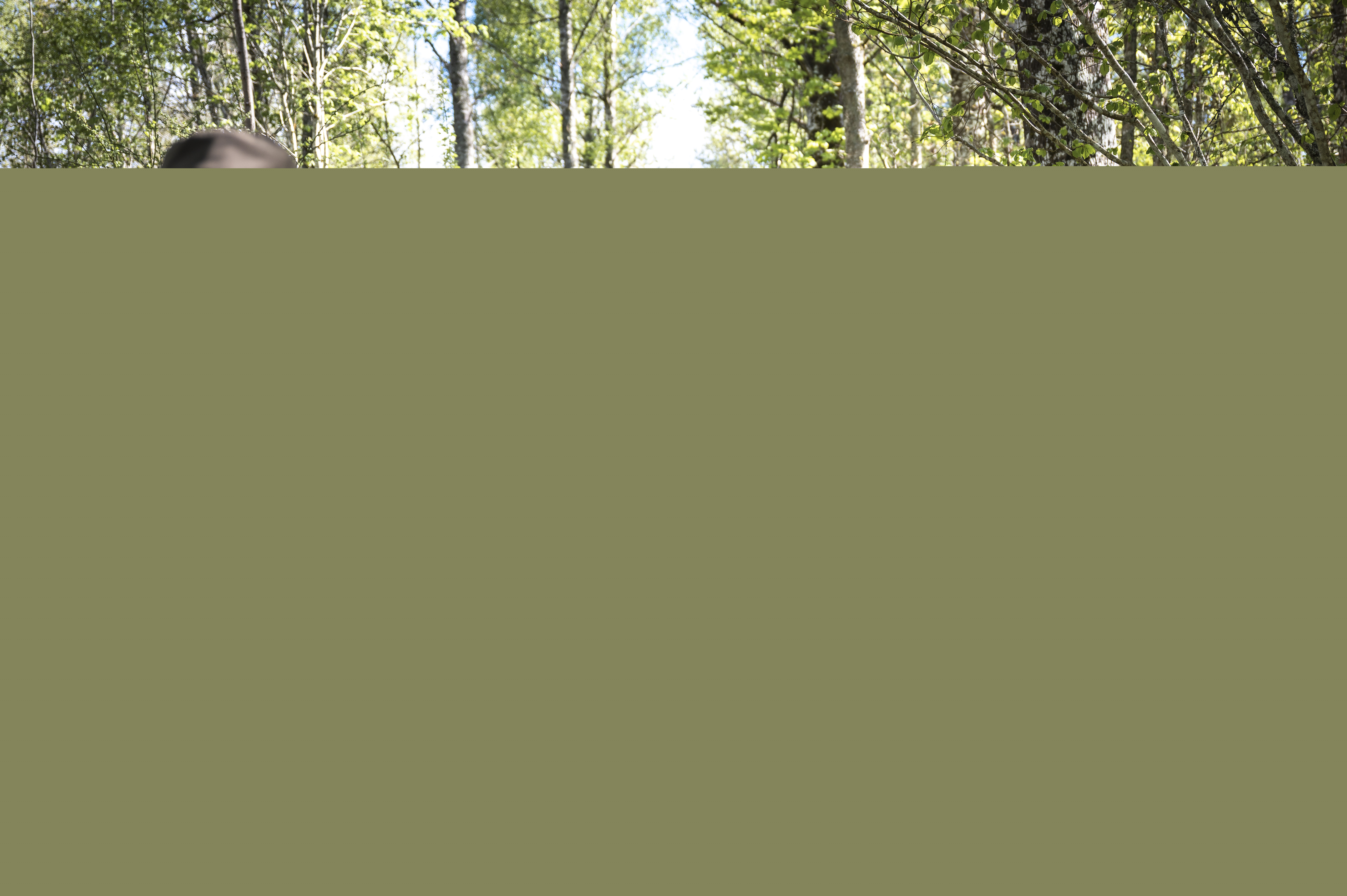 En grupp vandrare med ryggsäckar och vandringsstavar går på en stig i skogen.