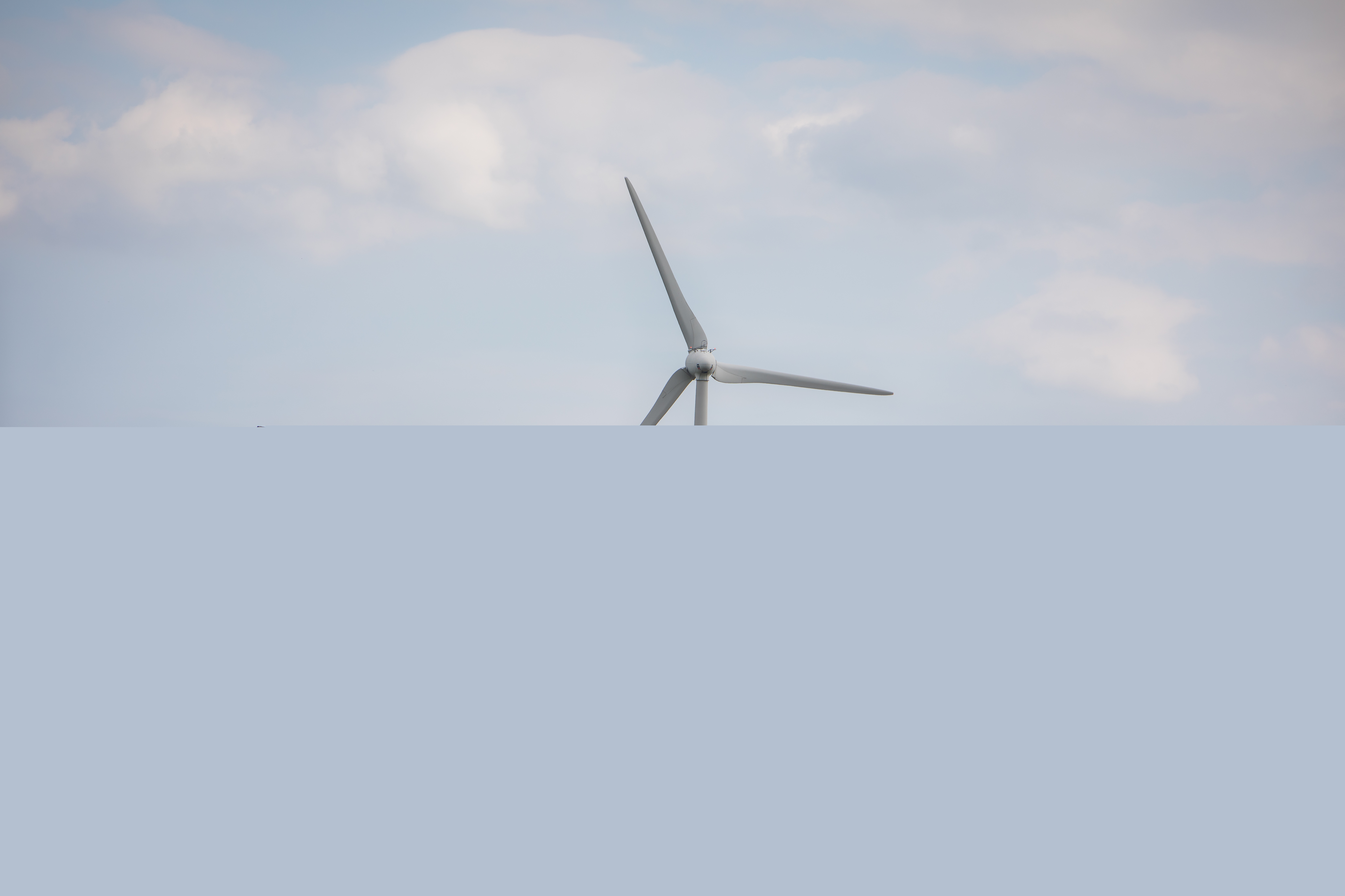 Ett sädesfält med några röda lador och ett ensamt träd. Längre bort syns ett vindkraftverk.