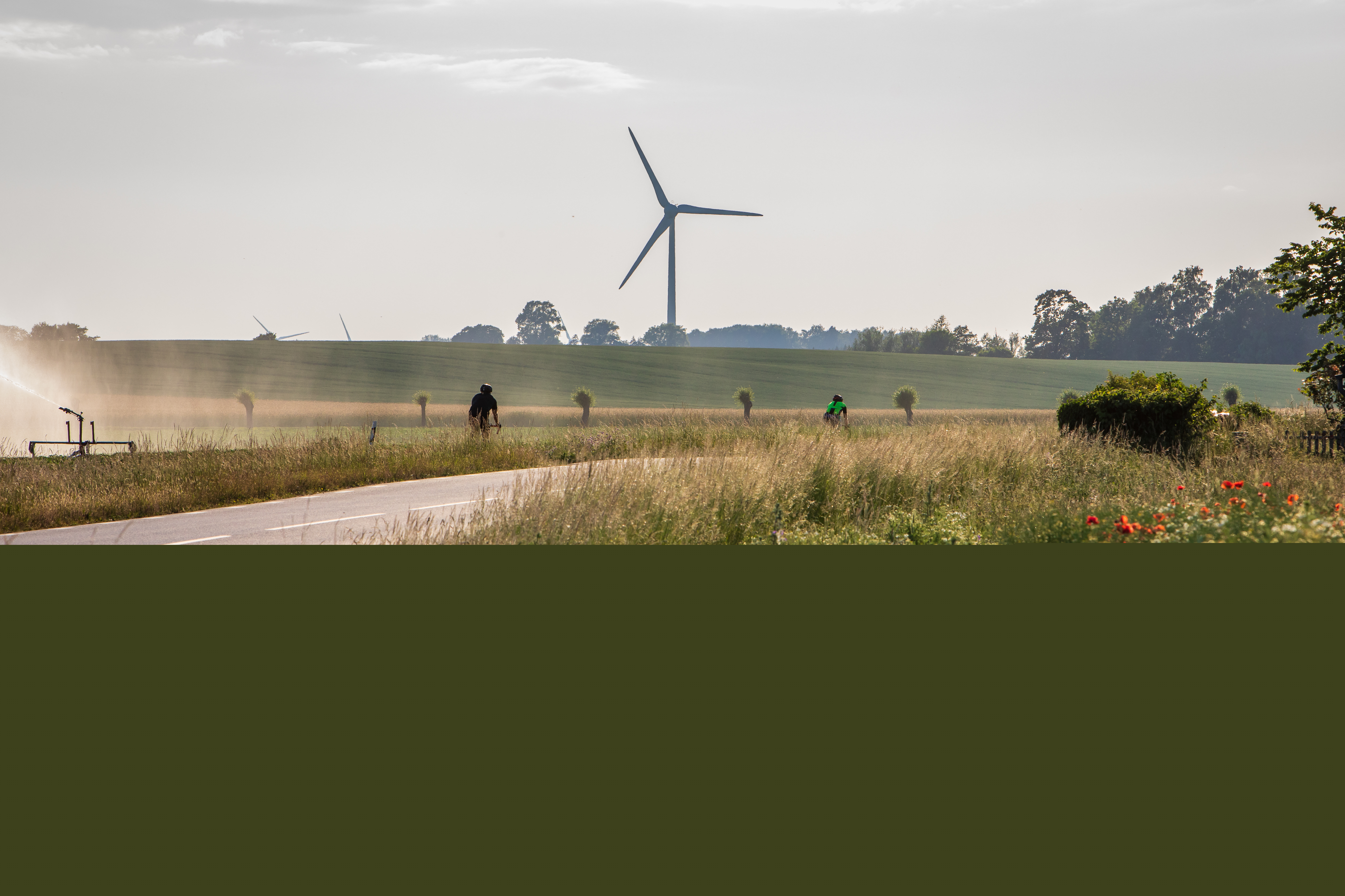 Ett åkerlandskap med en cyklist. Längre bort syns ett vindkraftverk.