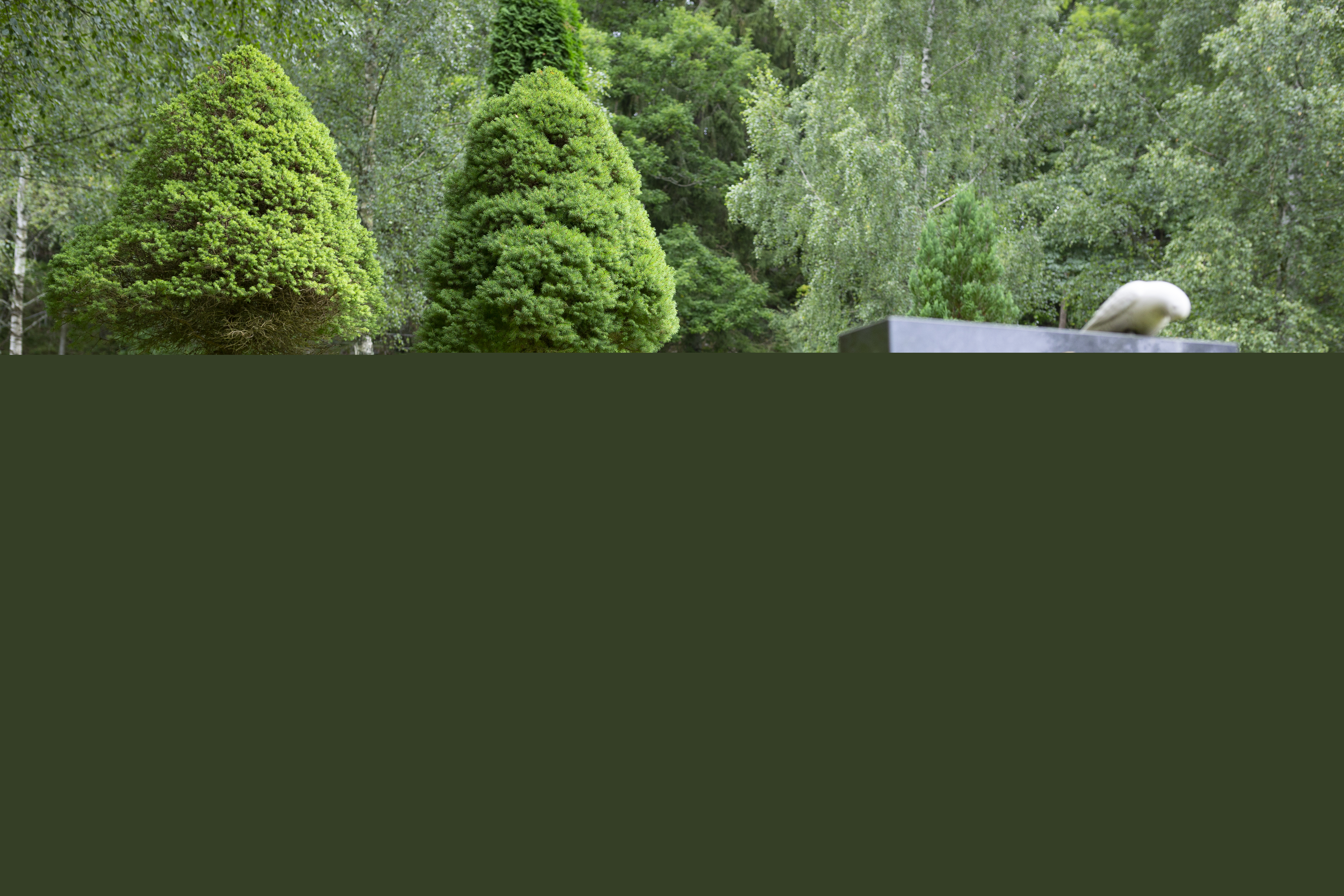 En muslimsk skogskyrkogård.