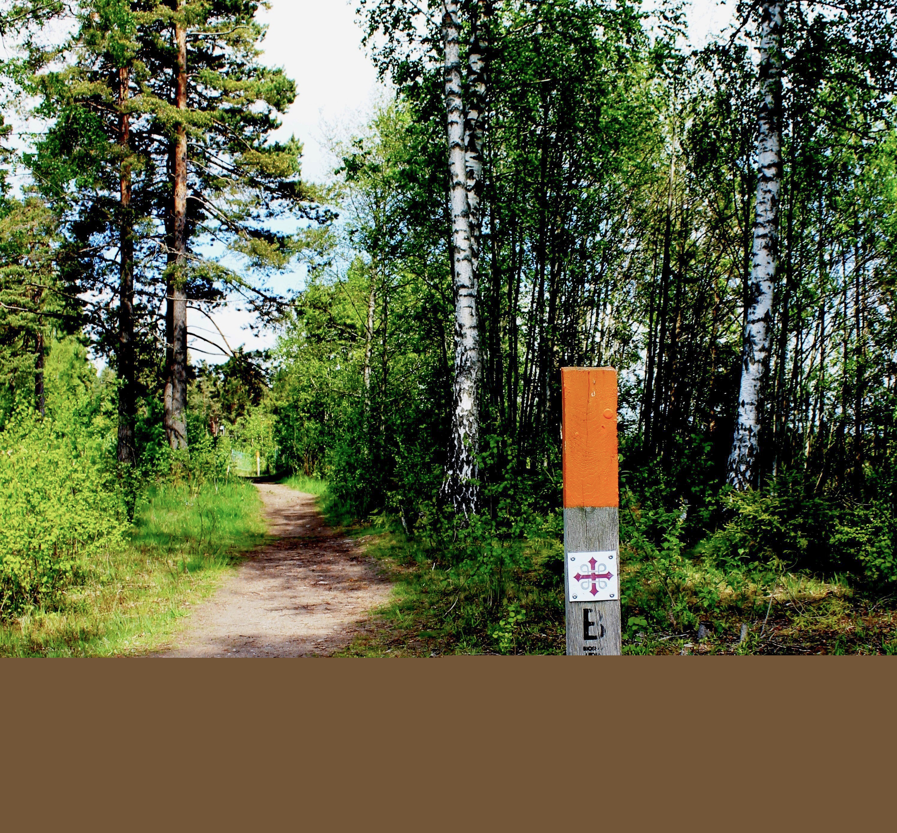 Bredvid stigen i skogen sitter en pinne med markeringen för pilgrimsled.